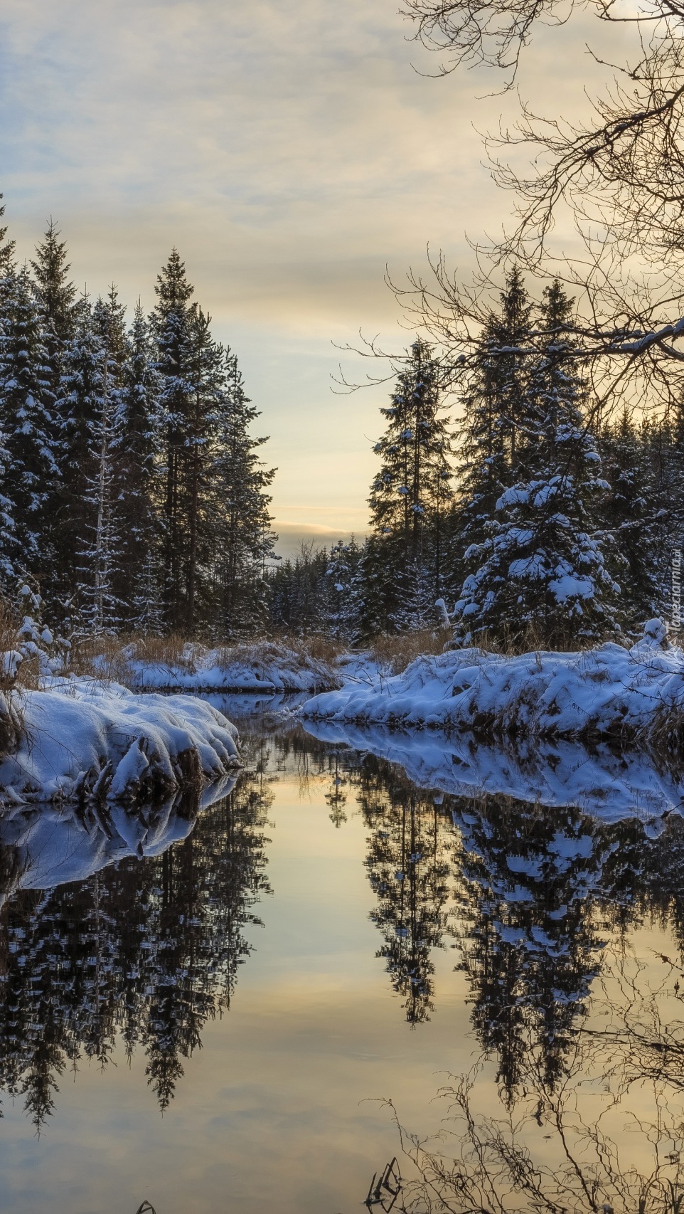 Zimowy krajobraz odbity w rzece