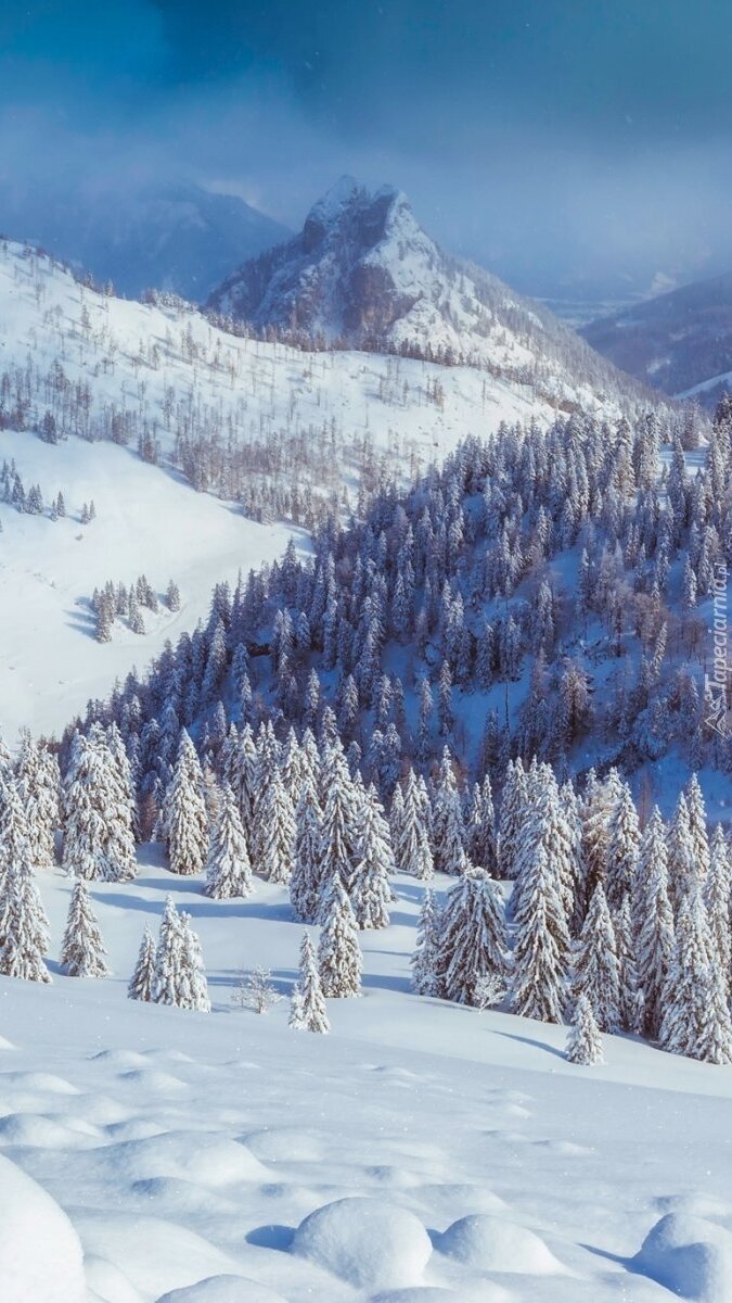 Zimowy krajobraz w górach