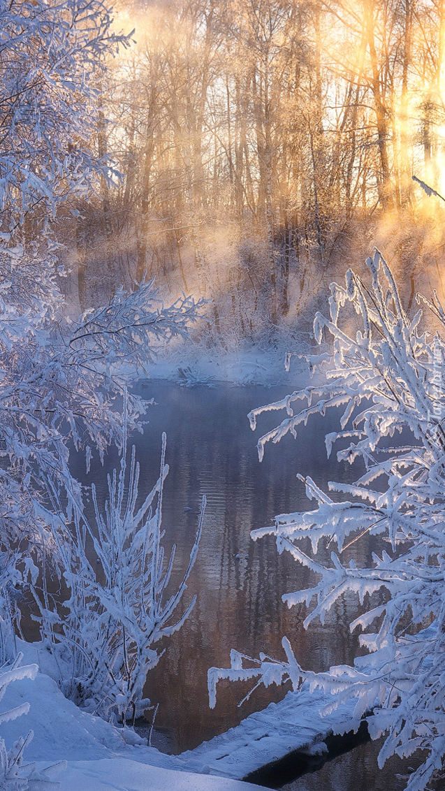 Zimowy poranek nad rzeką