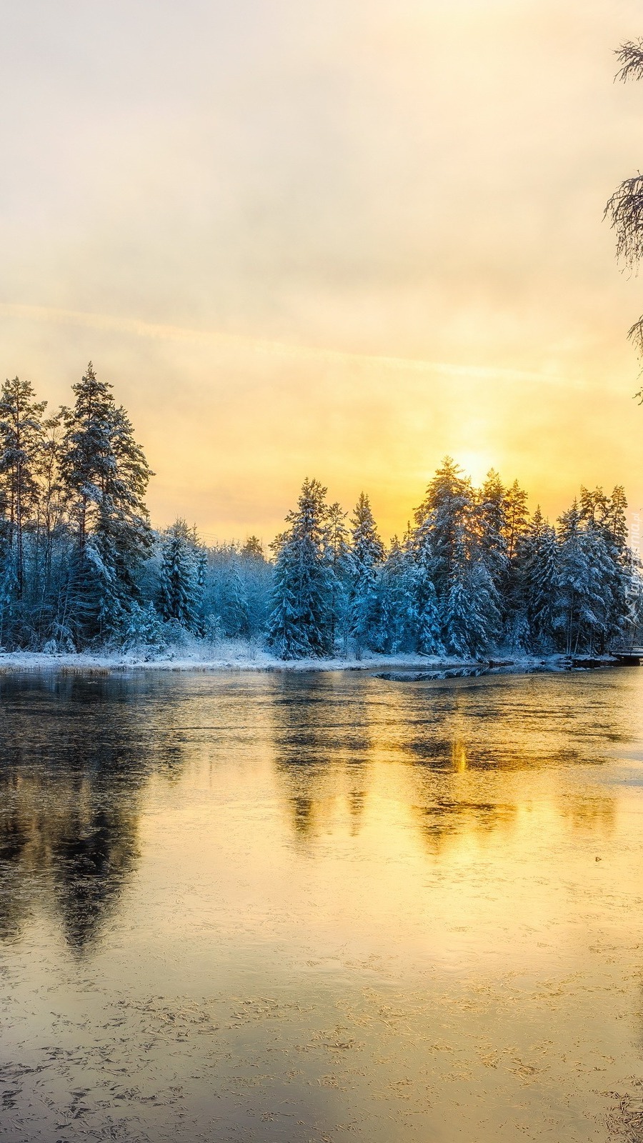 Zimowy wschód słońca nad lasem i rzeką