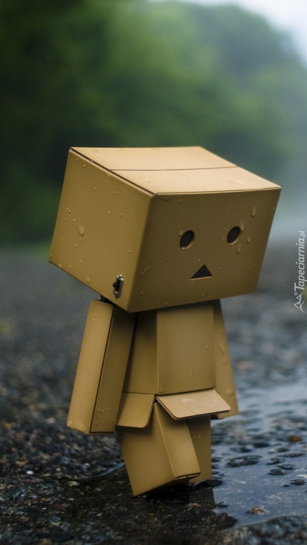 Zmoknięty Danbo