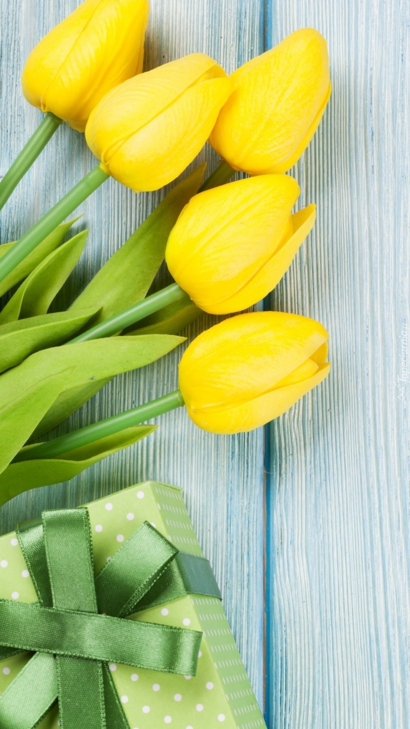 Żółte tulipany i prezent
