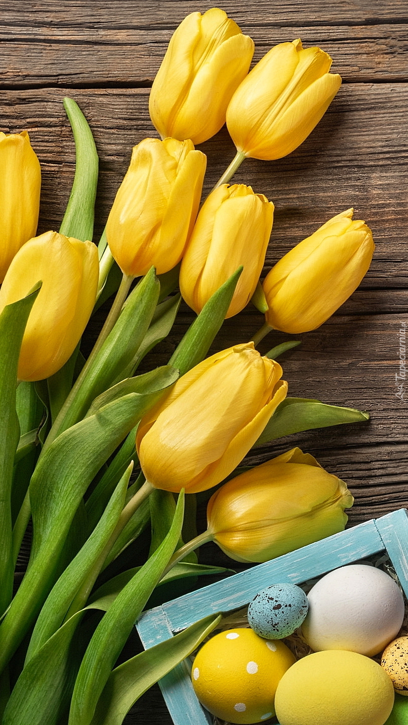 Żółte tulipany obok pisanek
