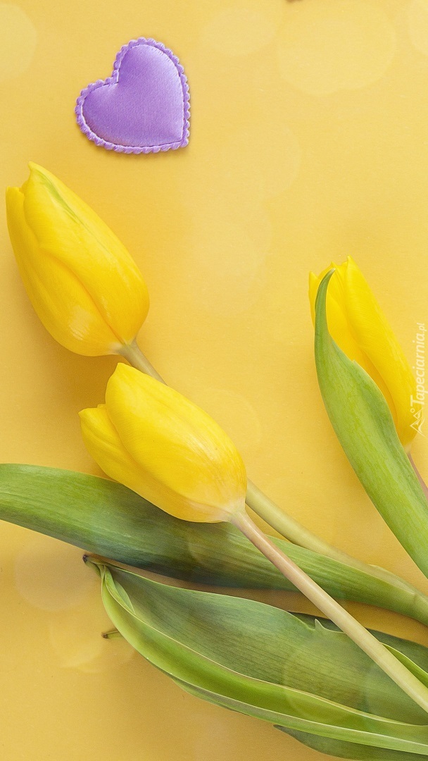 Żółte tulipany z serduszkiem