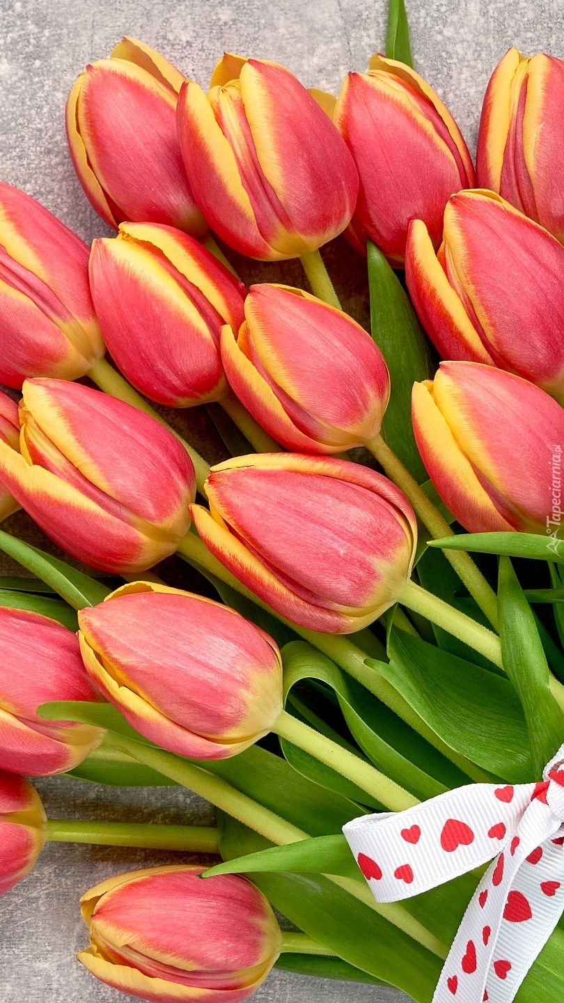 Żółto-czerwone tulipany