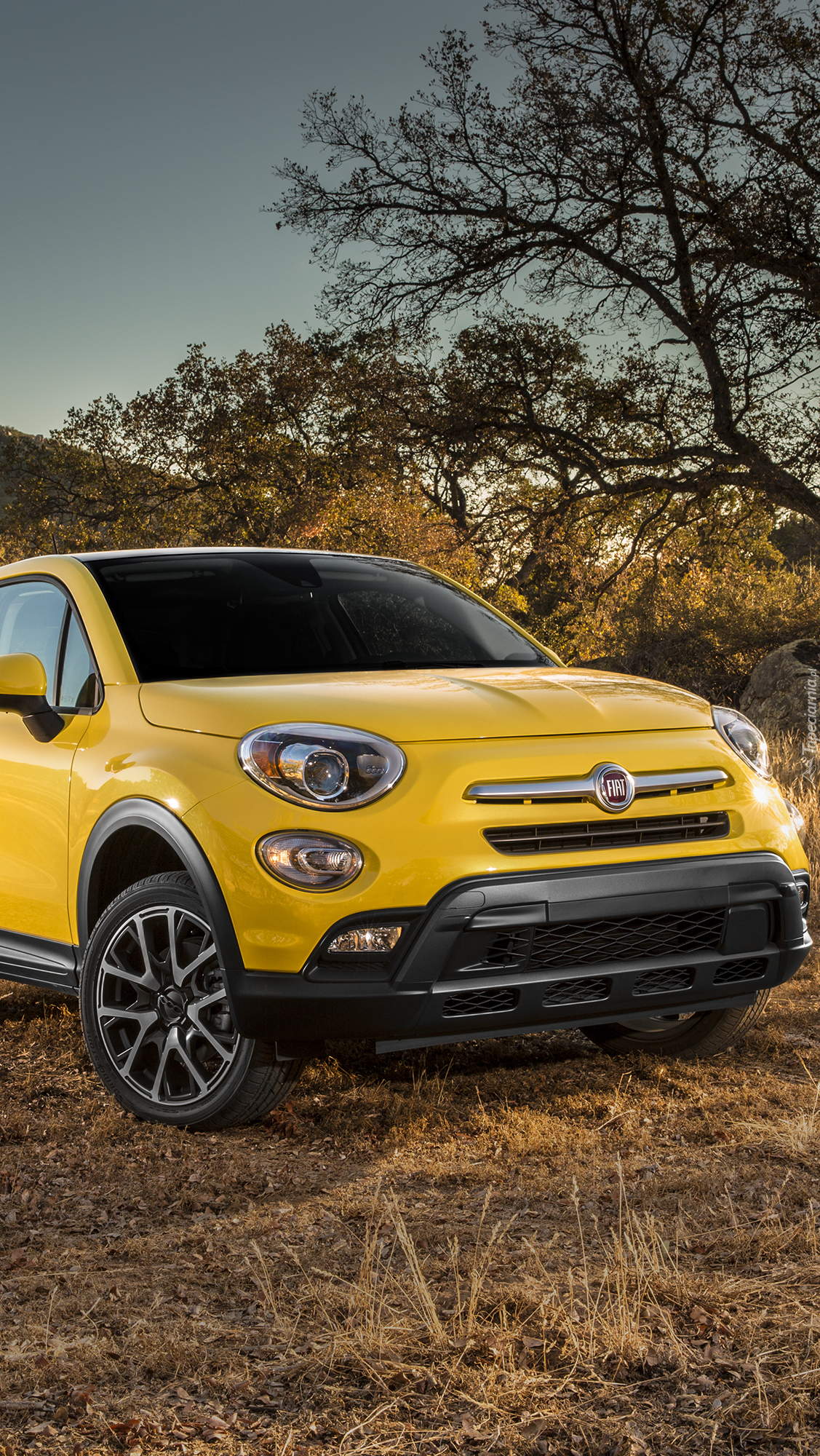 Żółty Fiat 500X Trekking Plus