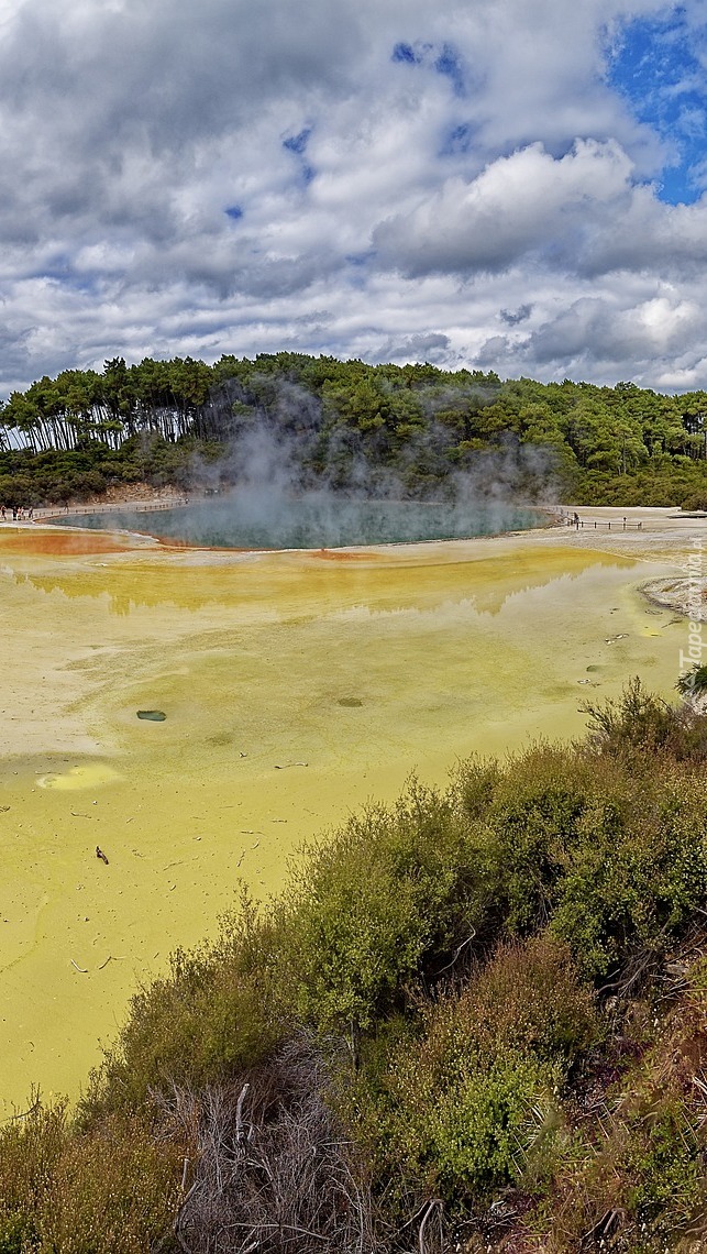 Źródła termalne Wai-O-Tapu