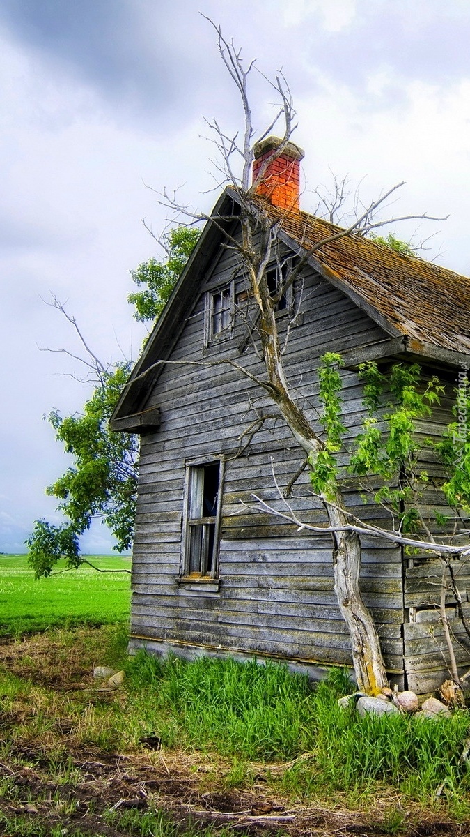 Zrujnowany drewniany dom