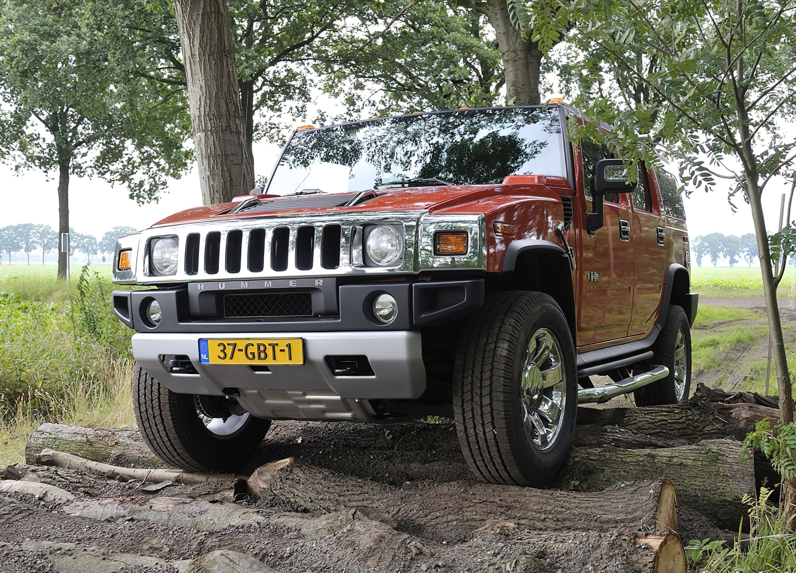 Hummer, H2, Drzewa