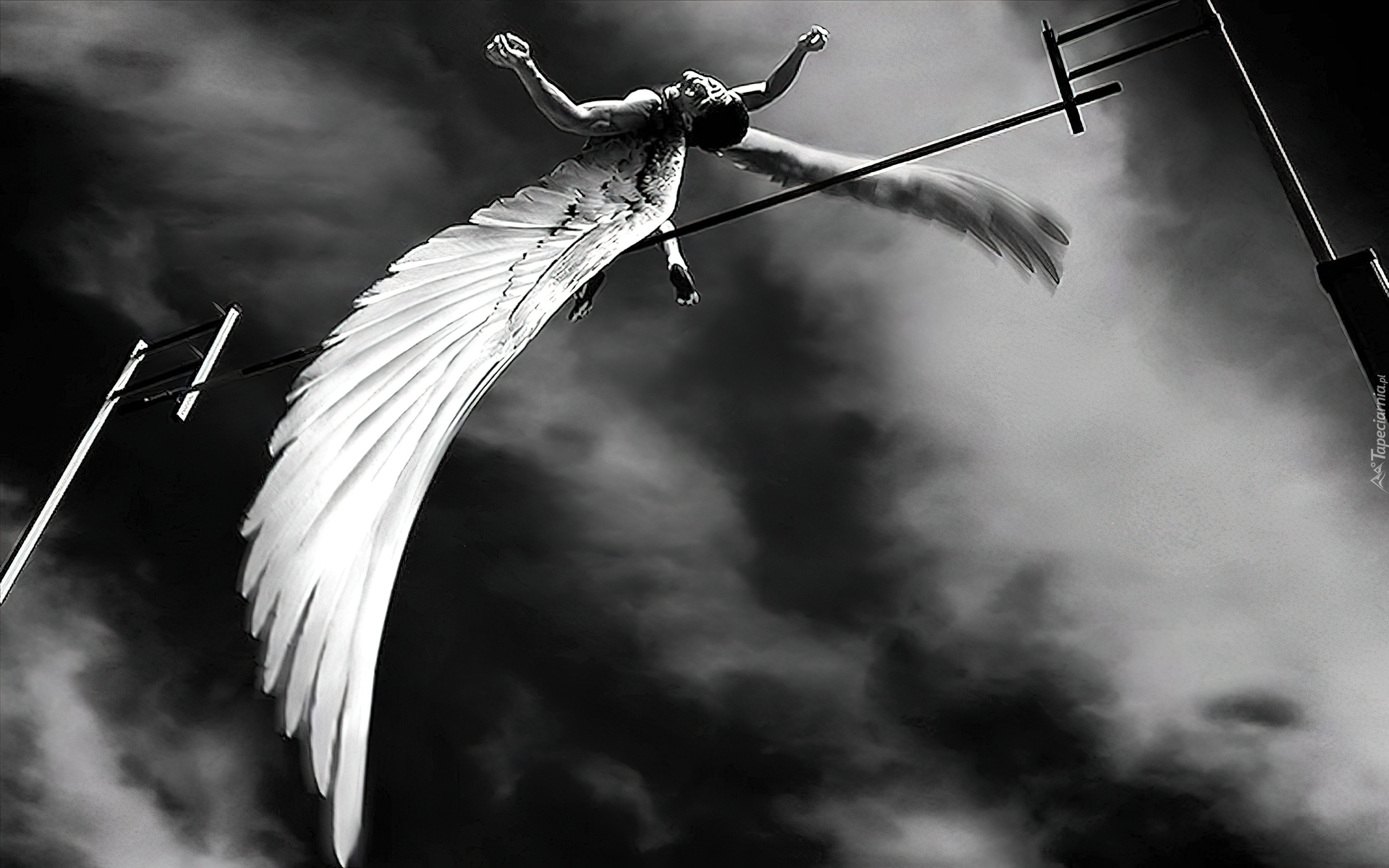 Сломанное крыло летучей. Ангел. Падающий ангел. Ангел с крыльями. Небесные ангелы.