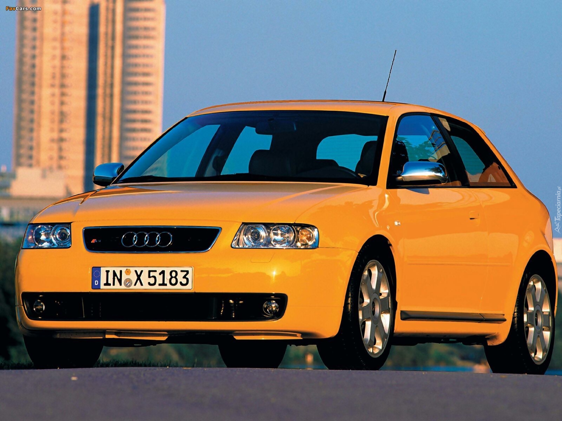 Żółte, Audi S3