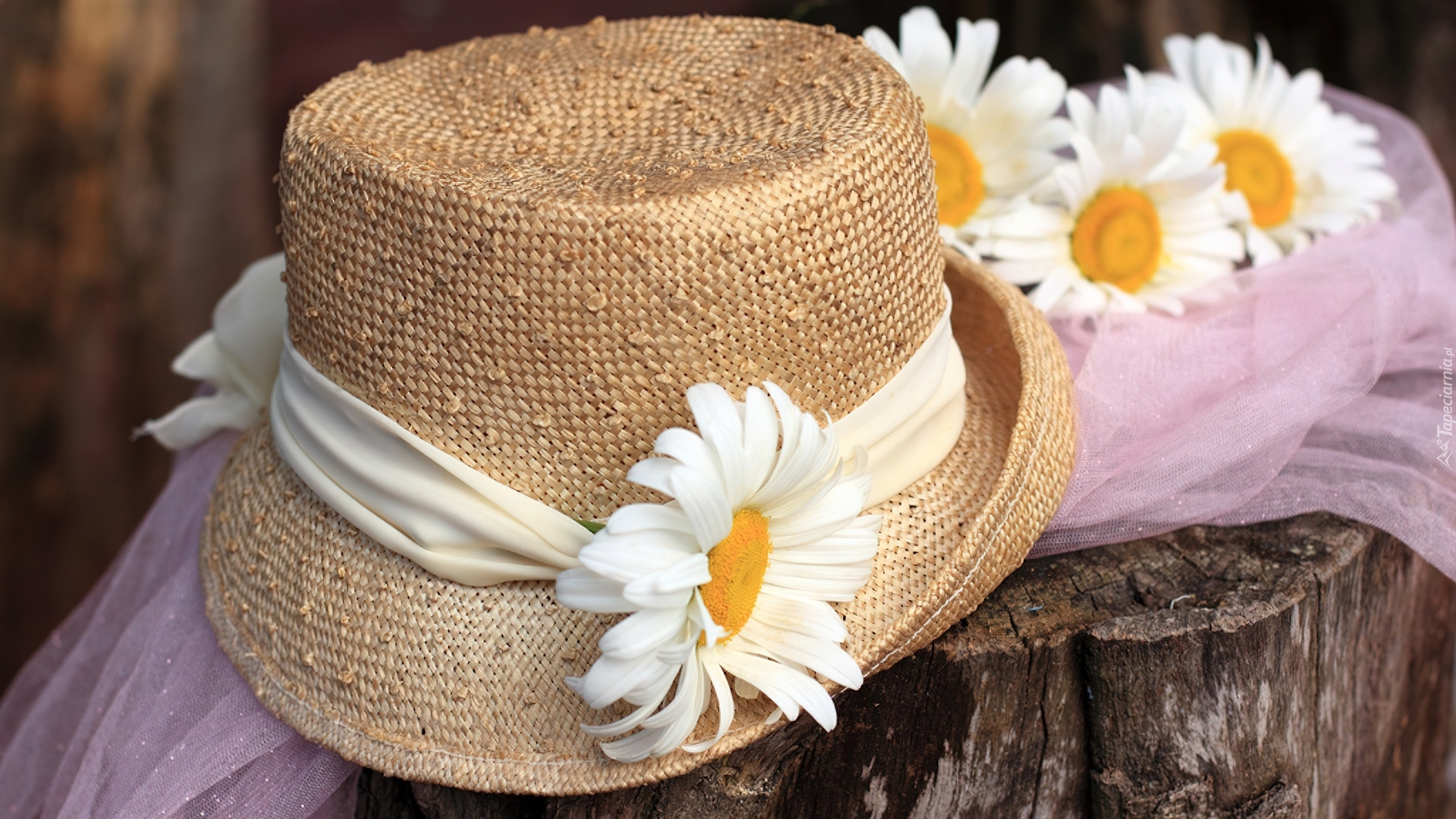 Обои шляпа. Соломенная шляпа. Соломенная шляпа с цветами. Шляпка с цветами, соломенная. Цветы в соломенной шляпе.