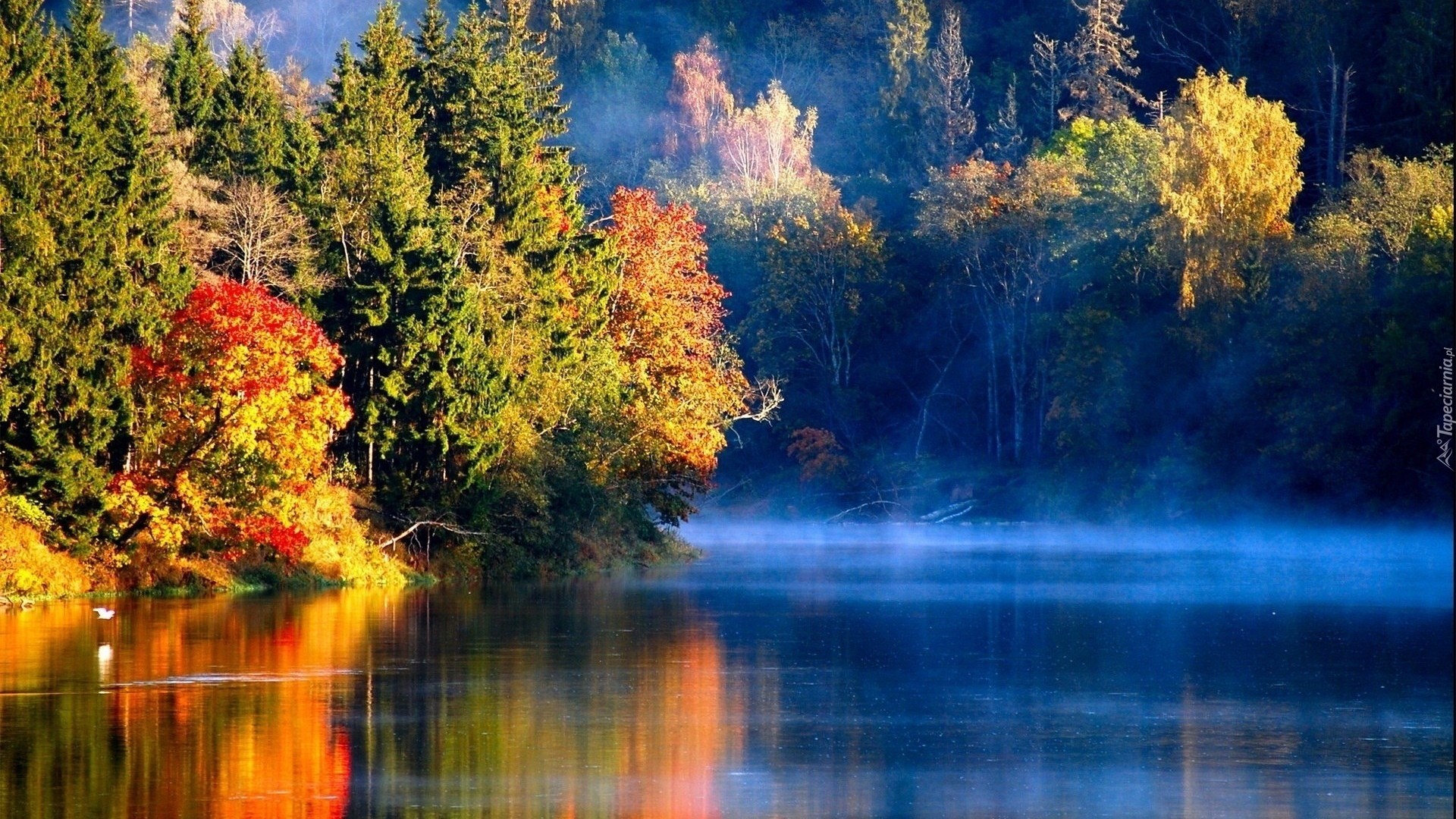 Jesienne, Drzewa, Jezioro, Mgła