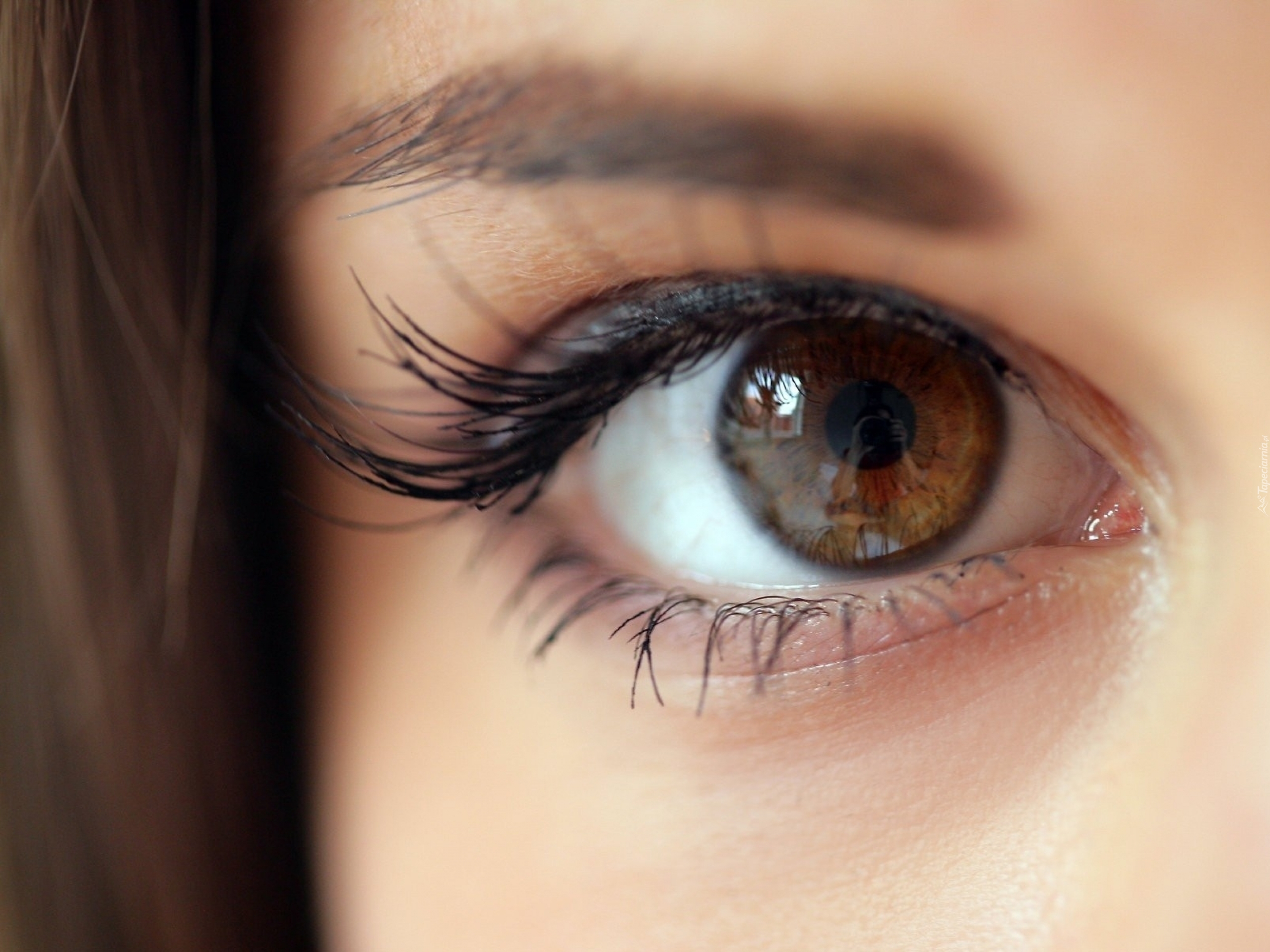 Карие или карии. Болотный цвет глаз гетерохромия. Карие глаза. Красивые карие глаза. Девушка с карими глазами.