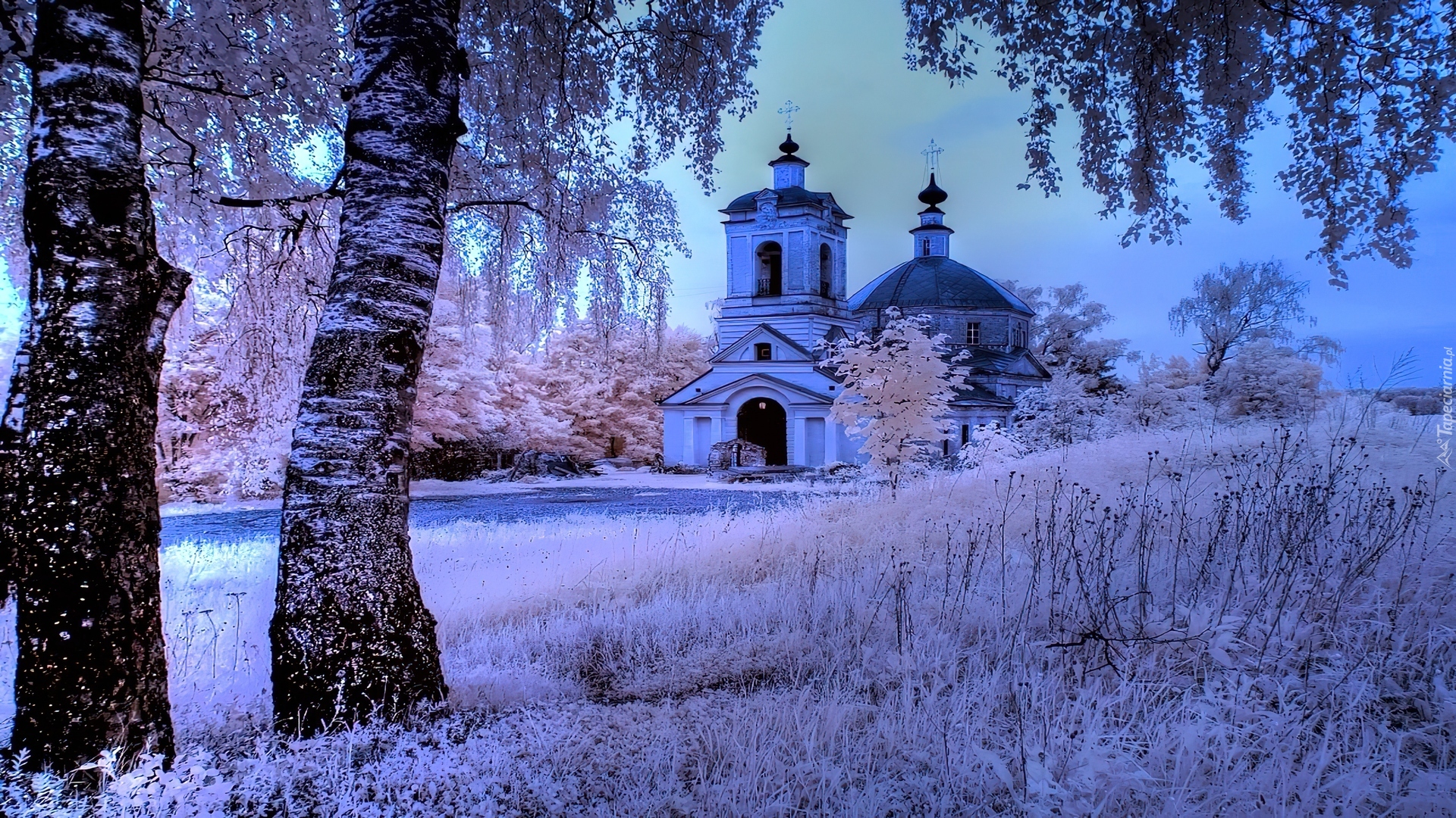 Kościół, Drzewa, Zima