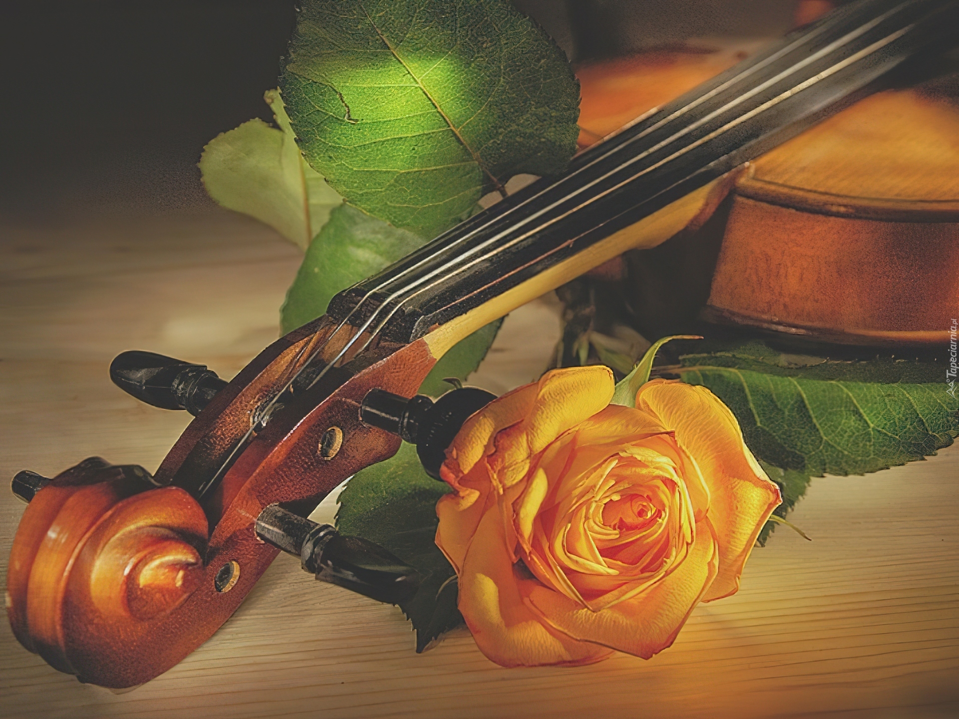 Инструментальная музыка скрипка. Натюрморт с музыкальными инструментами. Скрипка. Музыкальные инструменты и цветы. Скрипка с цветами.