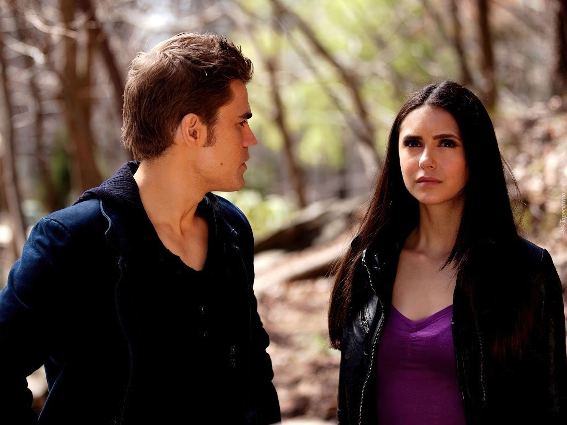 Pamiętniki wampirów, Vampire Diaries, Nina Dobrev, Paul Wesley