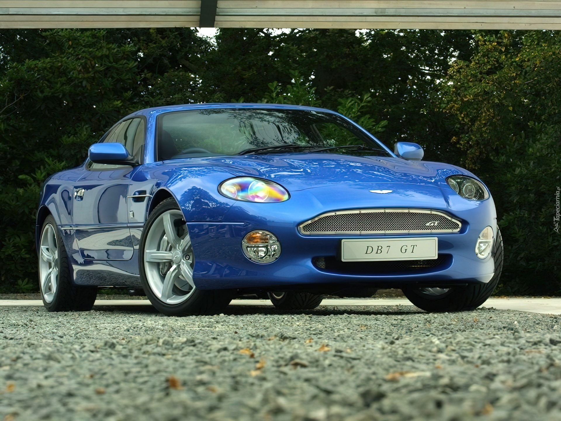 Aston Martin DB7, GT