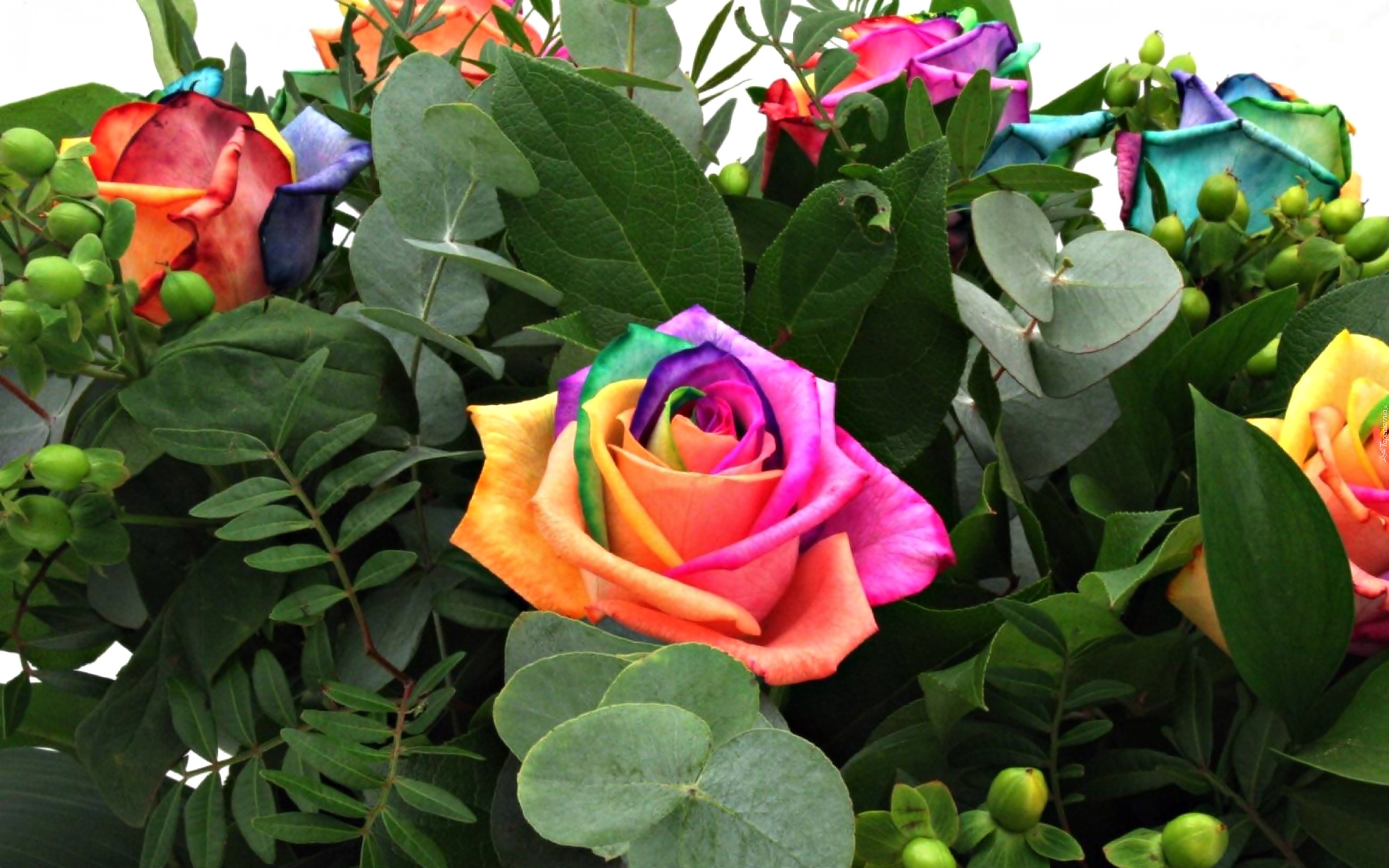 Kwiaty, Bukiet, Róże, Kolory, Tęczy