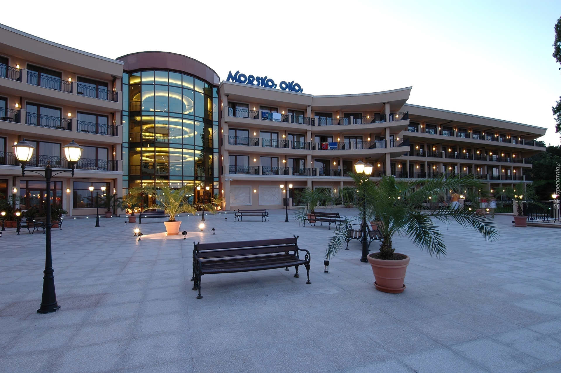 Hotel, Ławka, Drzewko