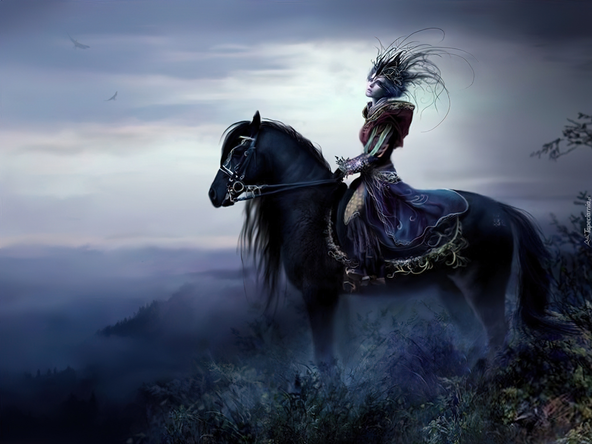 Kobieta, Koń, Mgła