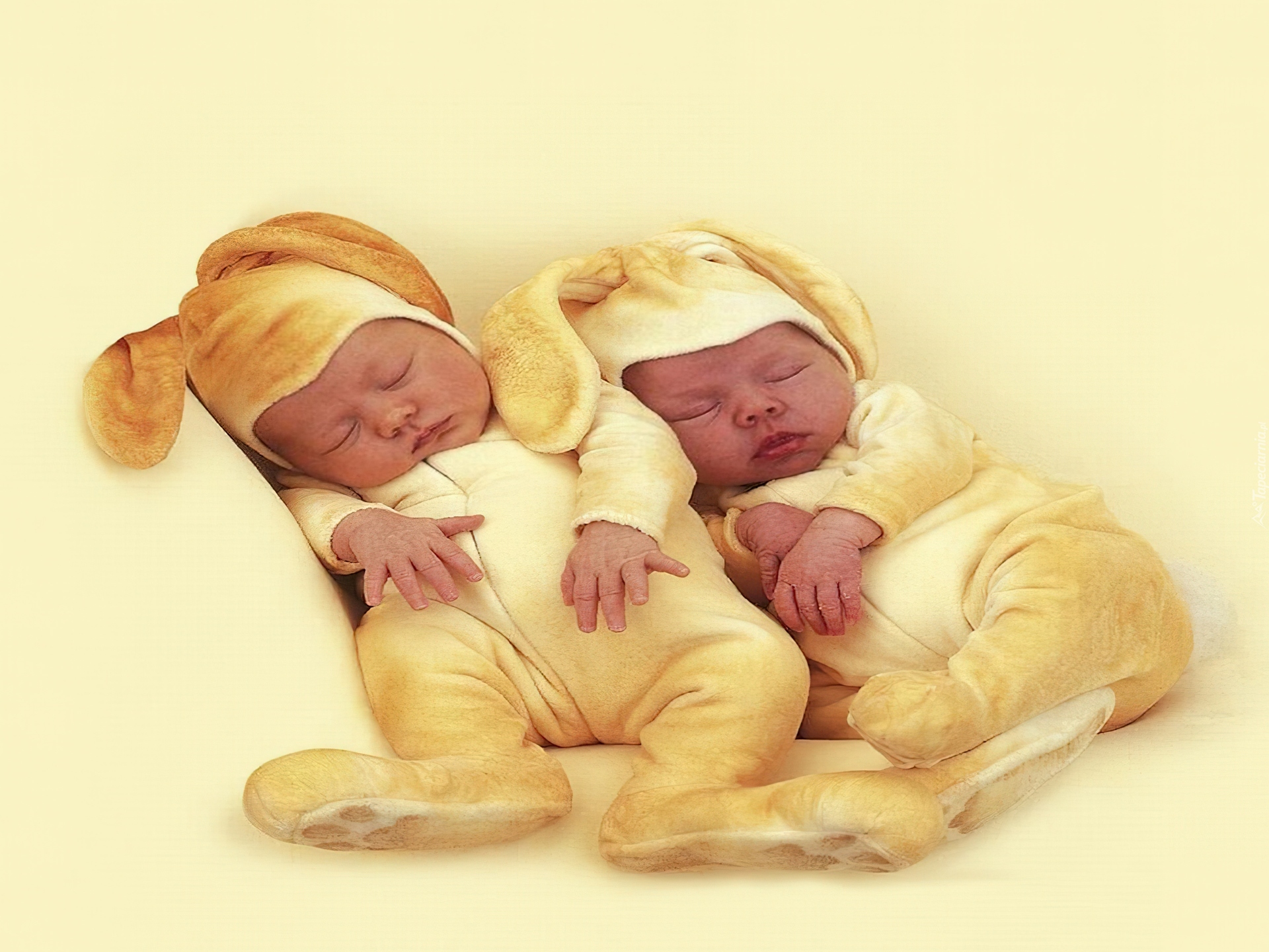 Niemowlaki, Zające, Anne Geddes