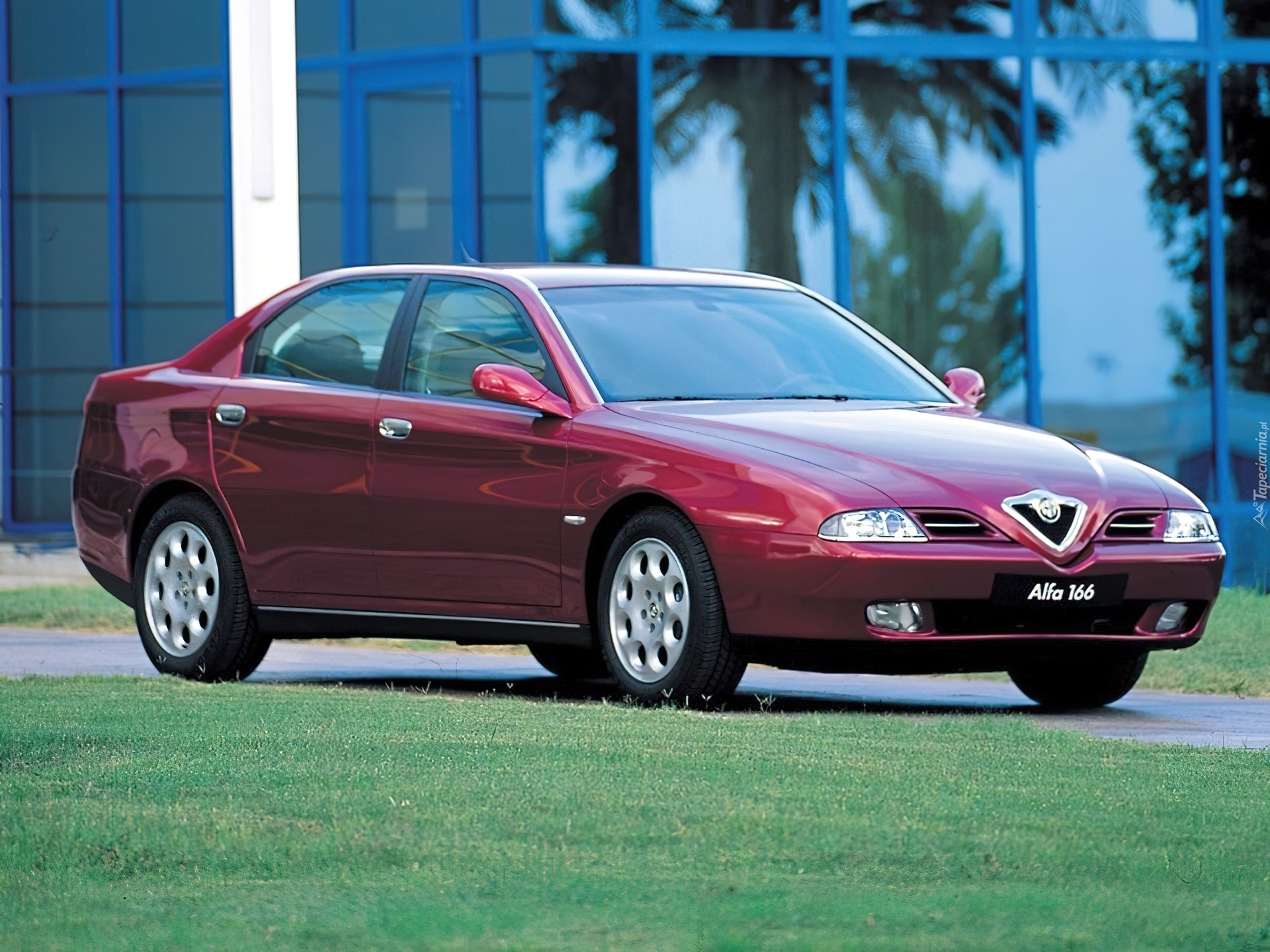 Bordowa, Alfa Romeo 166