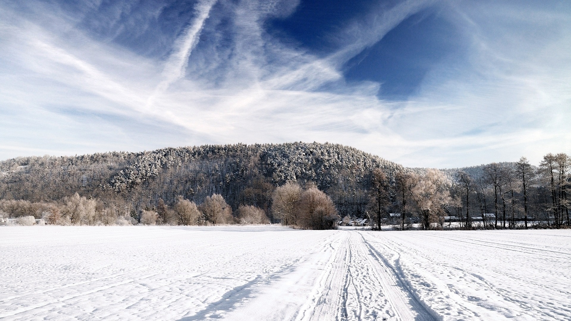 Zima, Drzewa, Śnieg