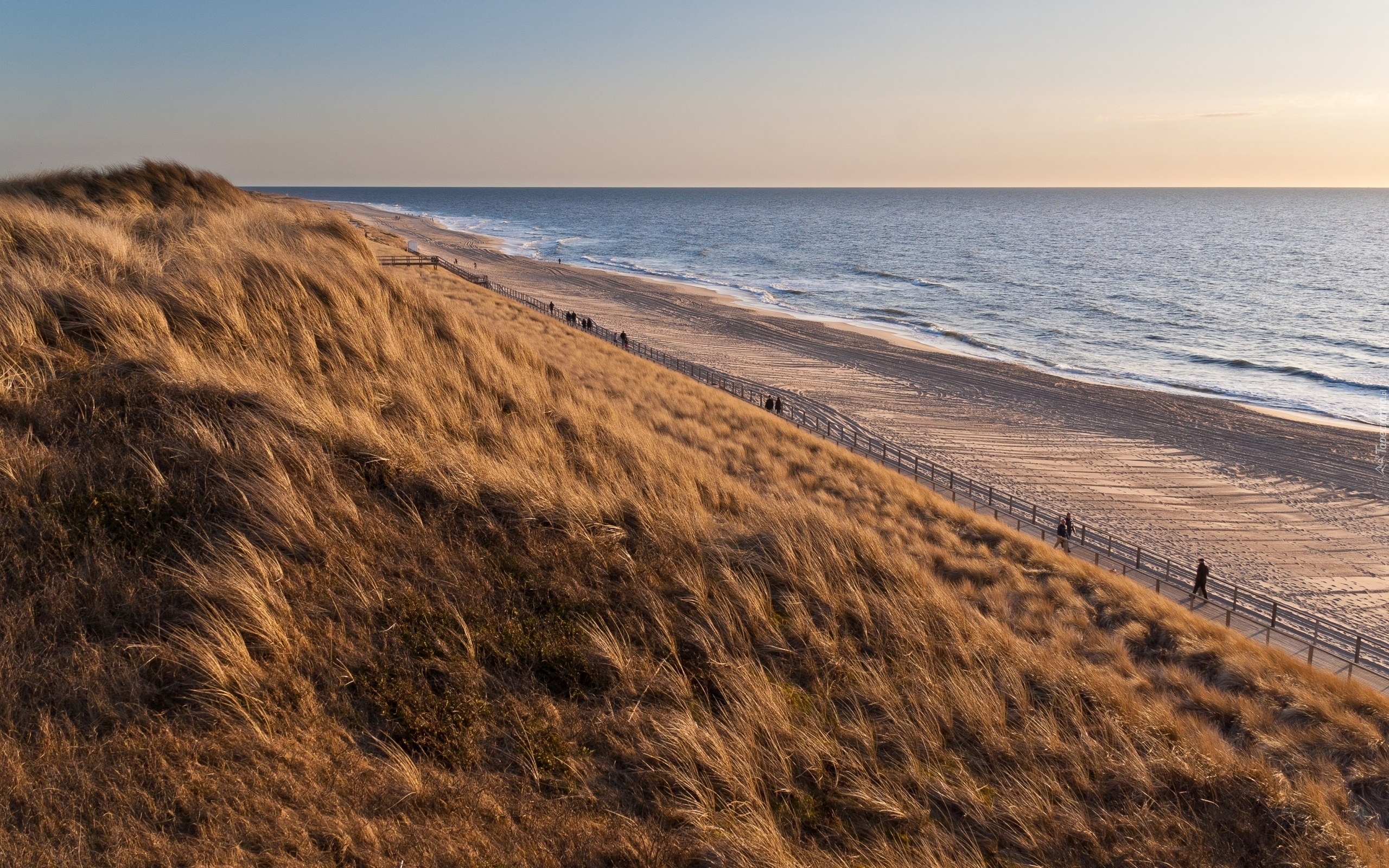 Morze, Plaża, Deptak, Trawa