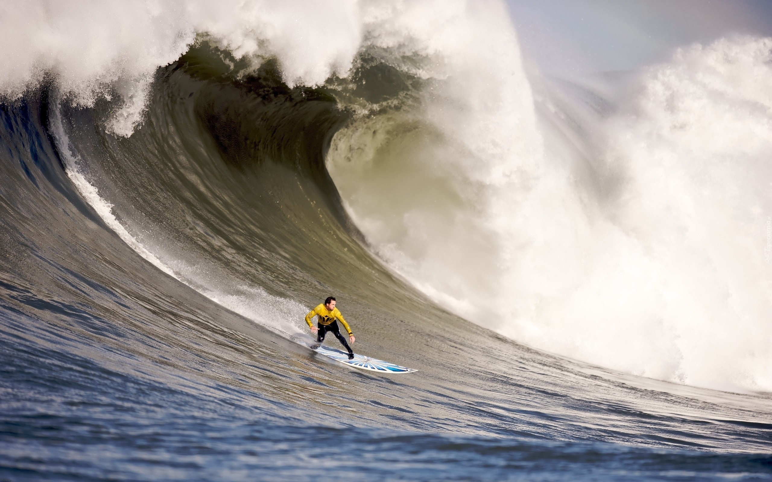 Surfing, Fala