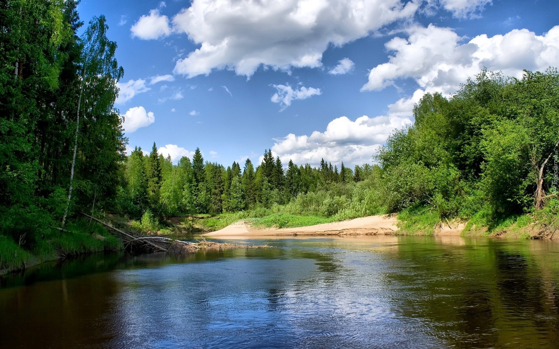 Jezioro, Drzewa, Słoneczna, Pogoda