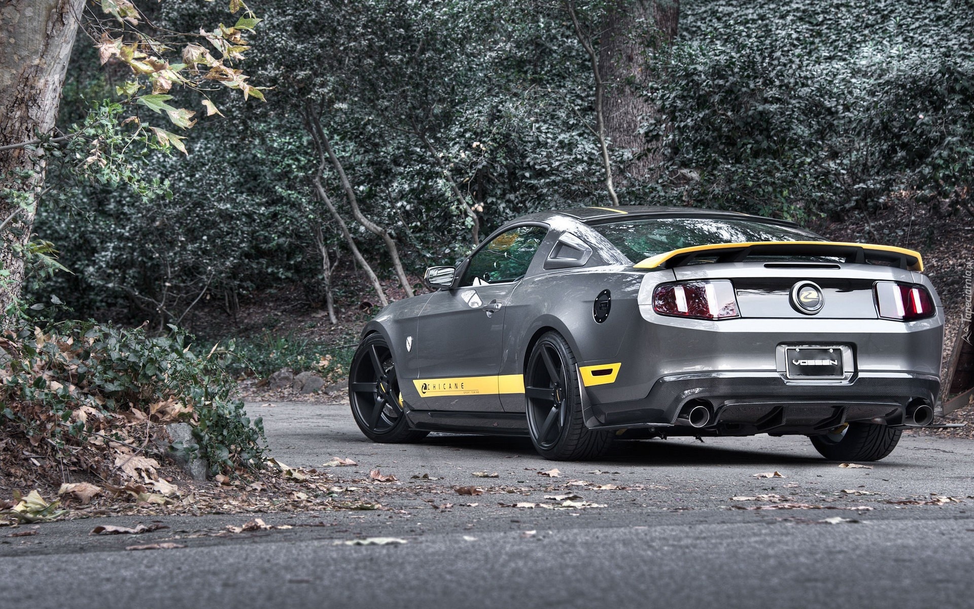 Ford, Mustang, Tuning, Chicane
