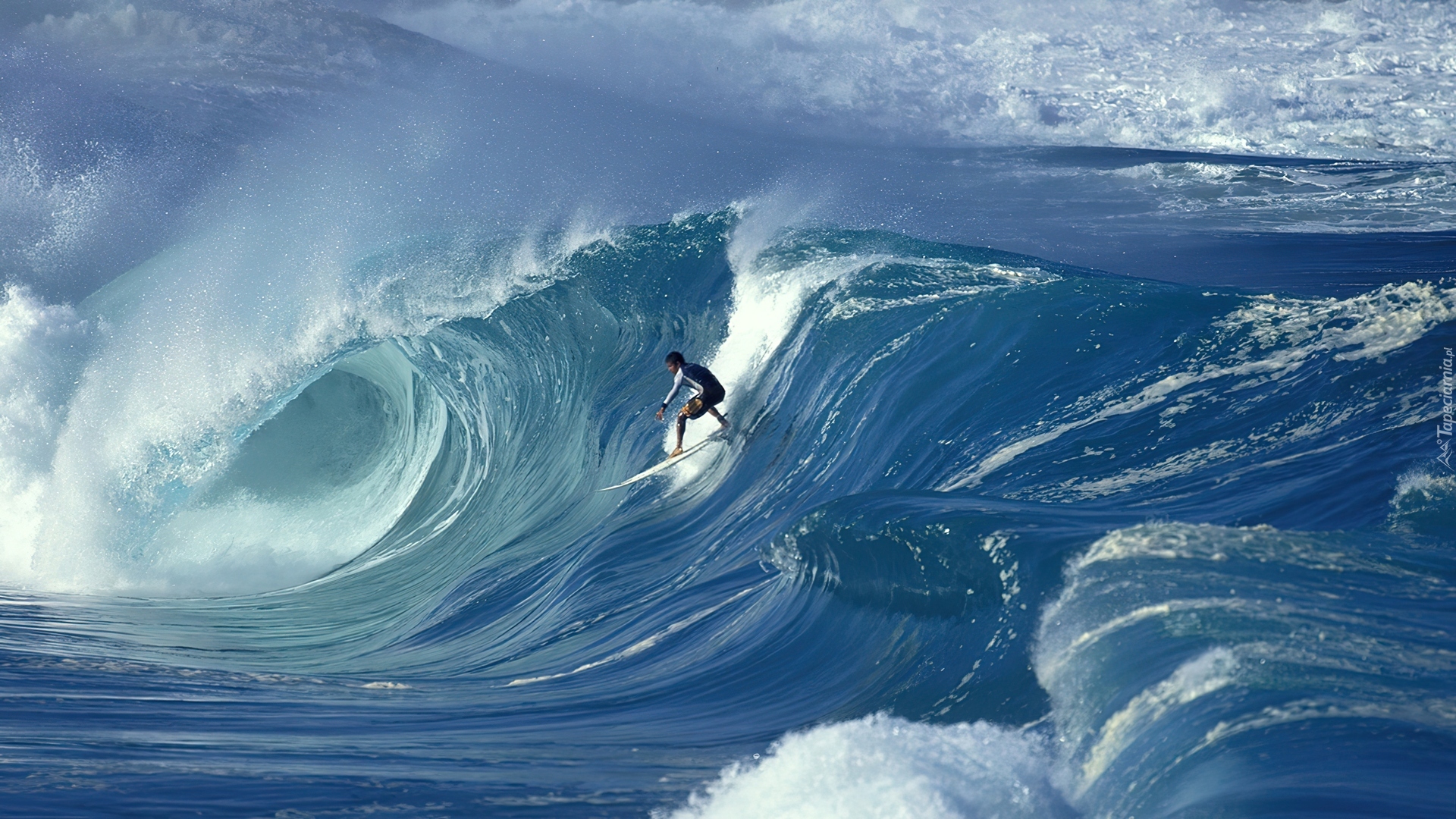 Surfing