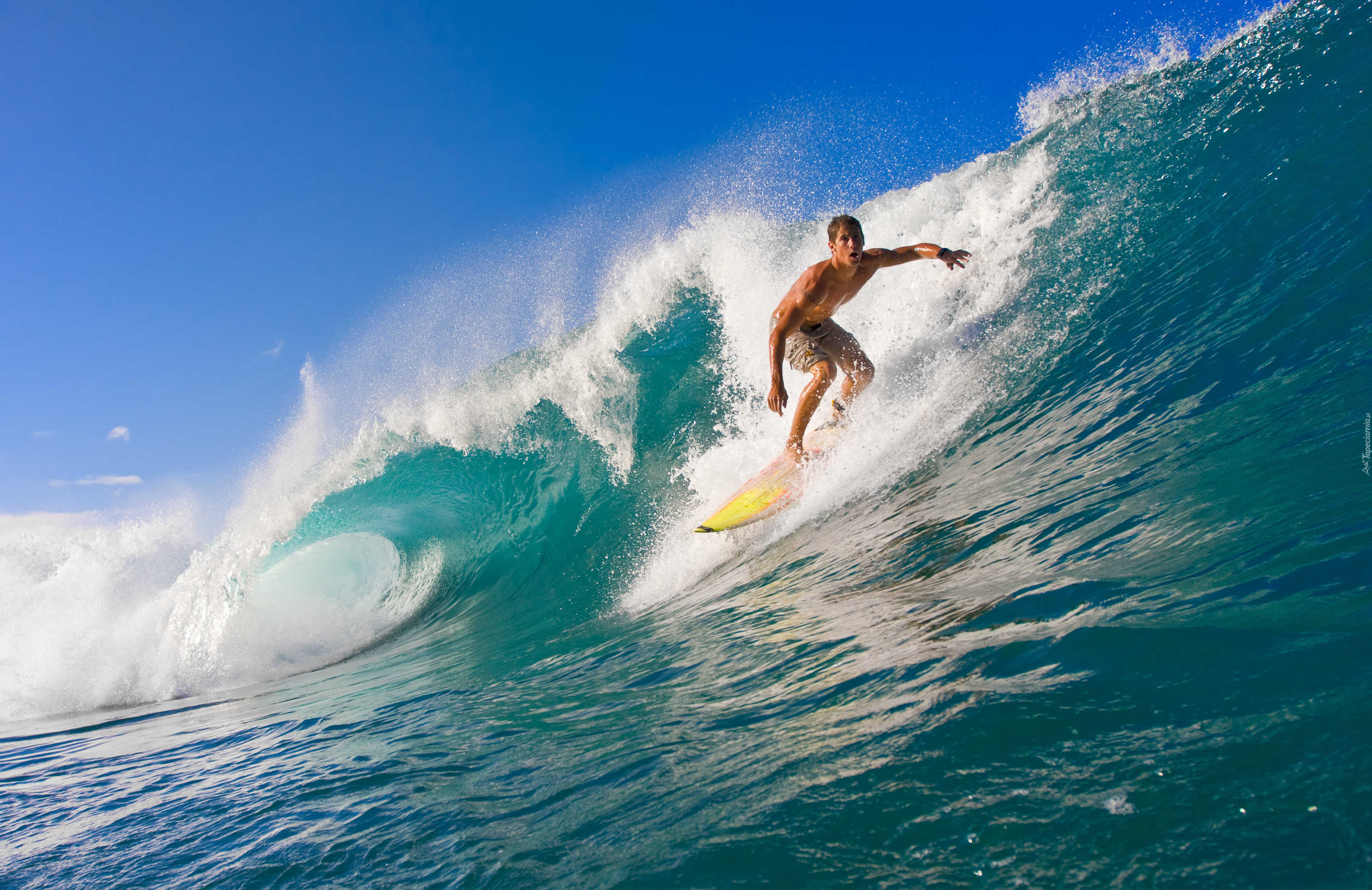 Surfing, Fale, Ocean