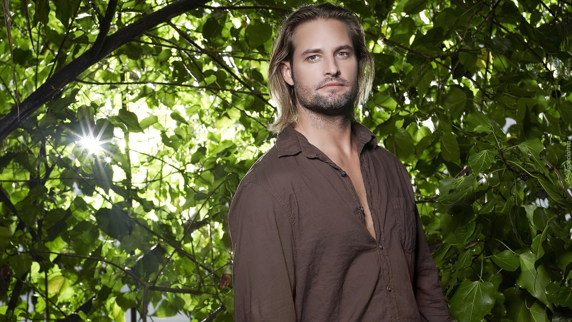 Josh Holloway