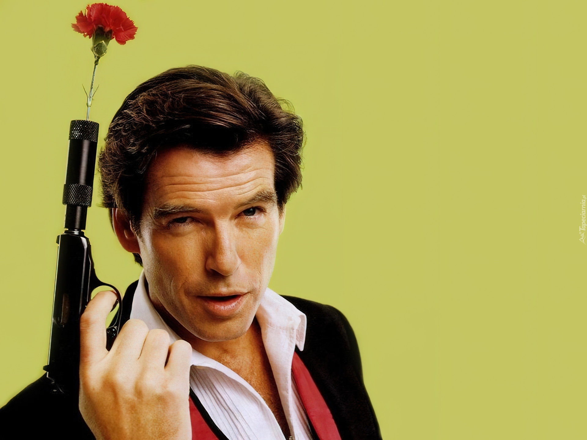 Pierce Brosnan, Goździk, Broń