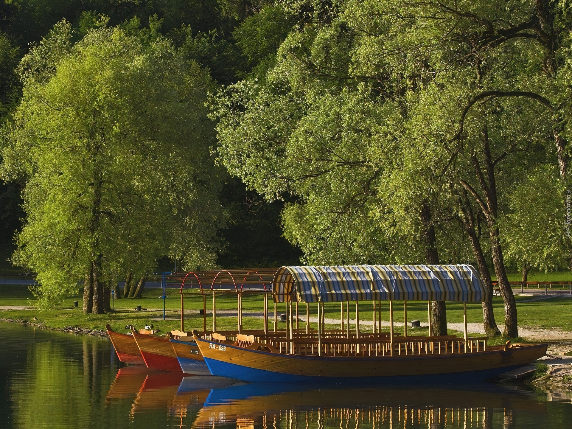 Park, Jezioro, Łodzie