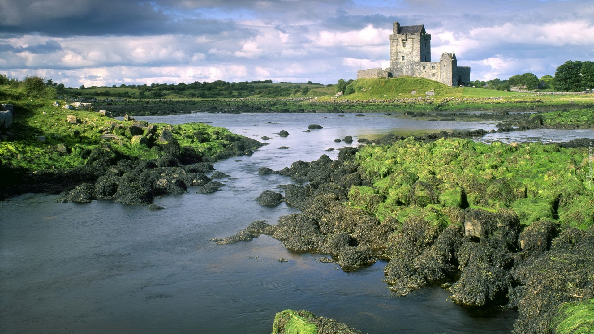 Zamek, Eilean Donan, Szkocja, Zielone, Skały