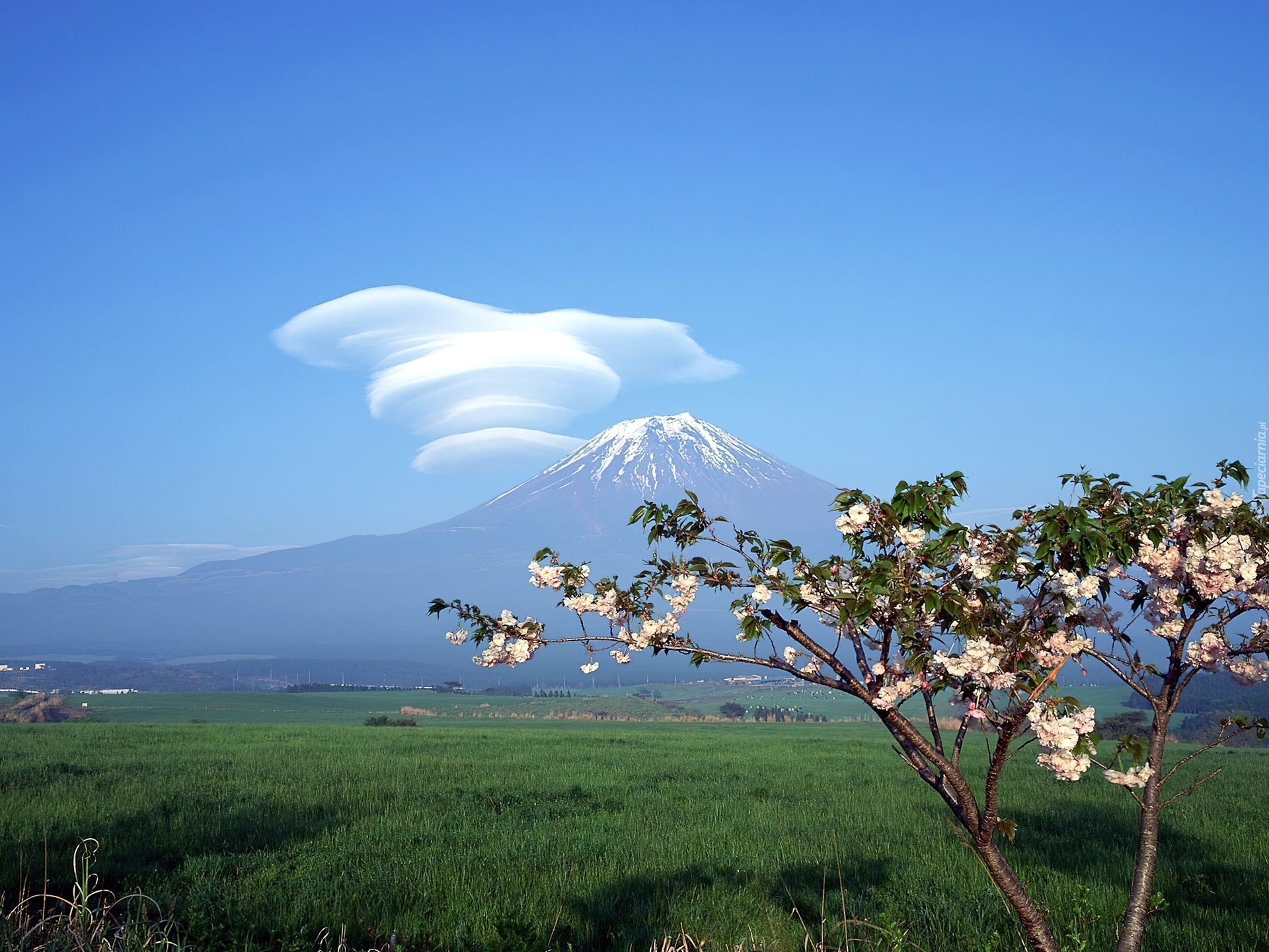 Góra, Fuji, Fantazyjna, Chmura