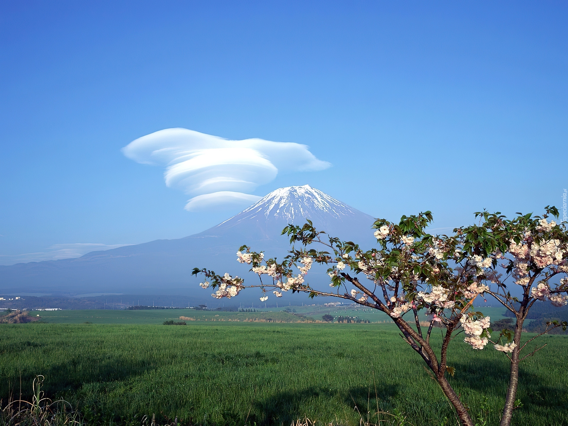 Góra, Fuji, Fantazyjna, Chmura