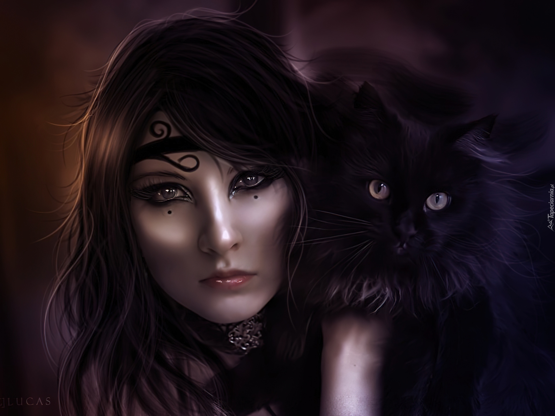 Картинка девушка с кошкой. Девушка кошка. Девушка кошка фэнтези. Ведьма с котом. Девушка и кот фэнтези.