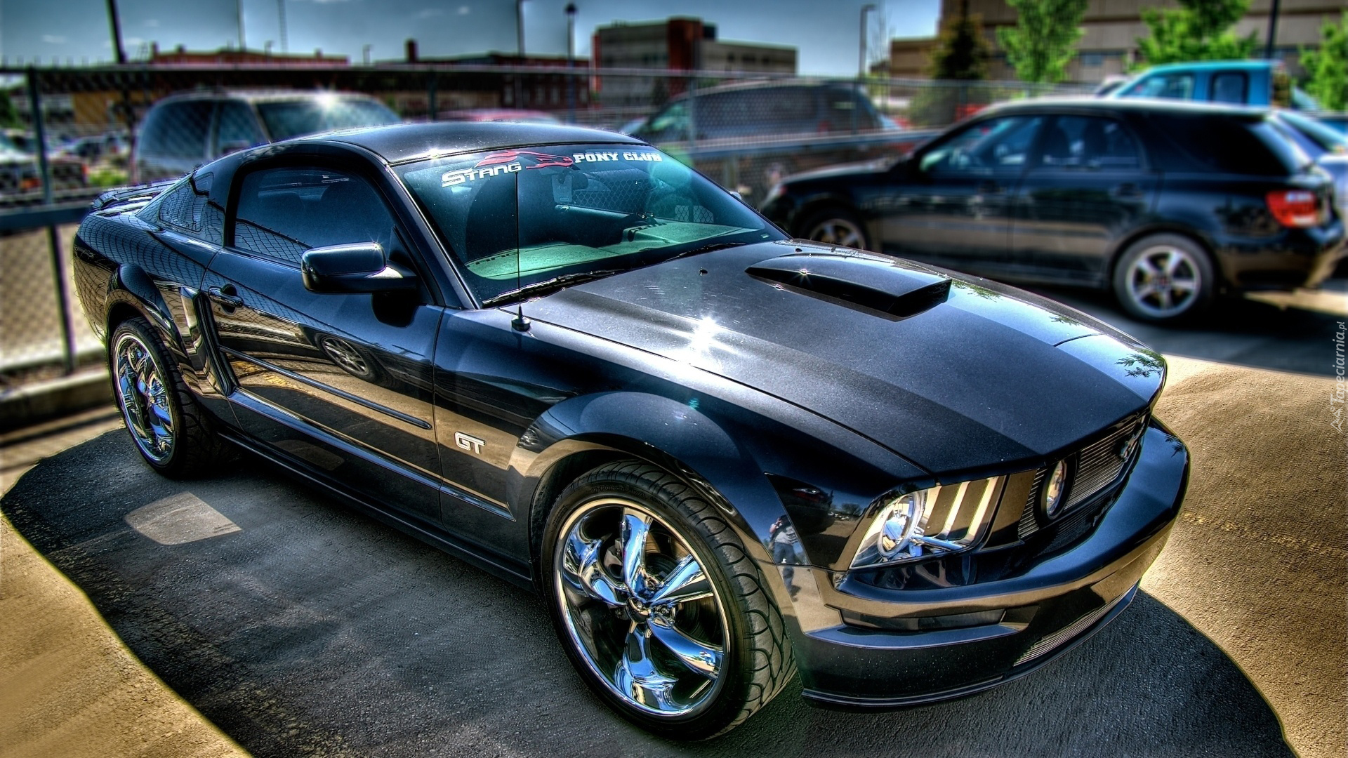 Ford Mustang GT 500, Chrom