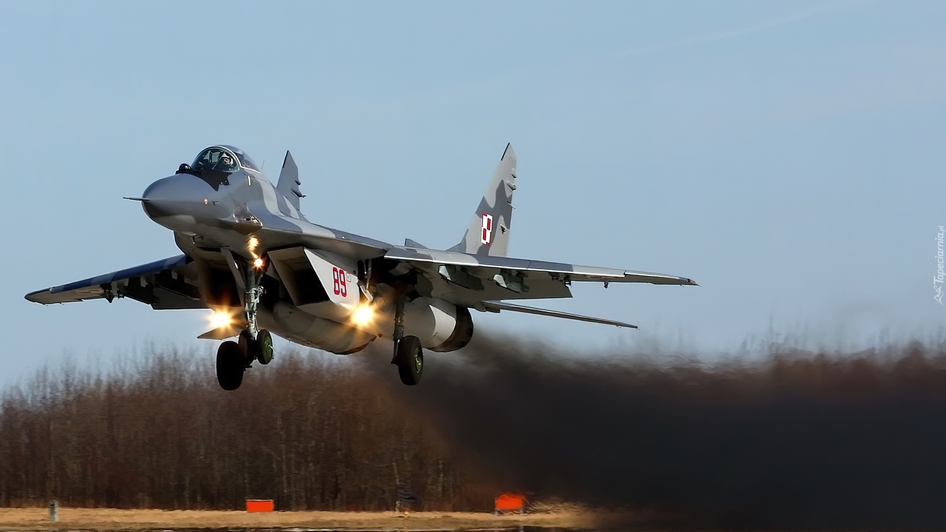 Samolot, MiG-29
