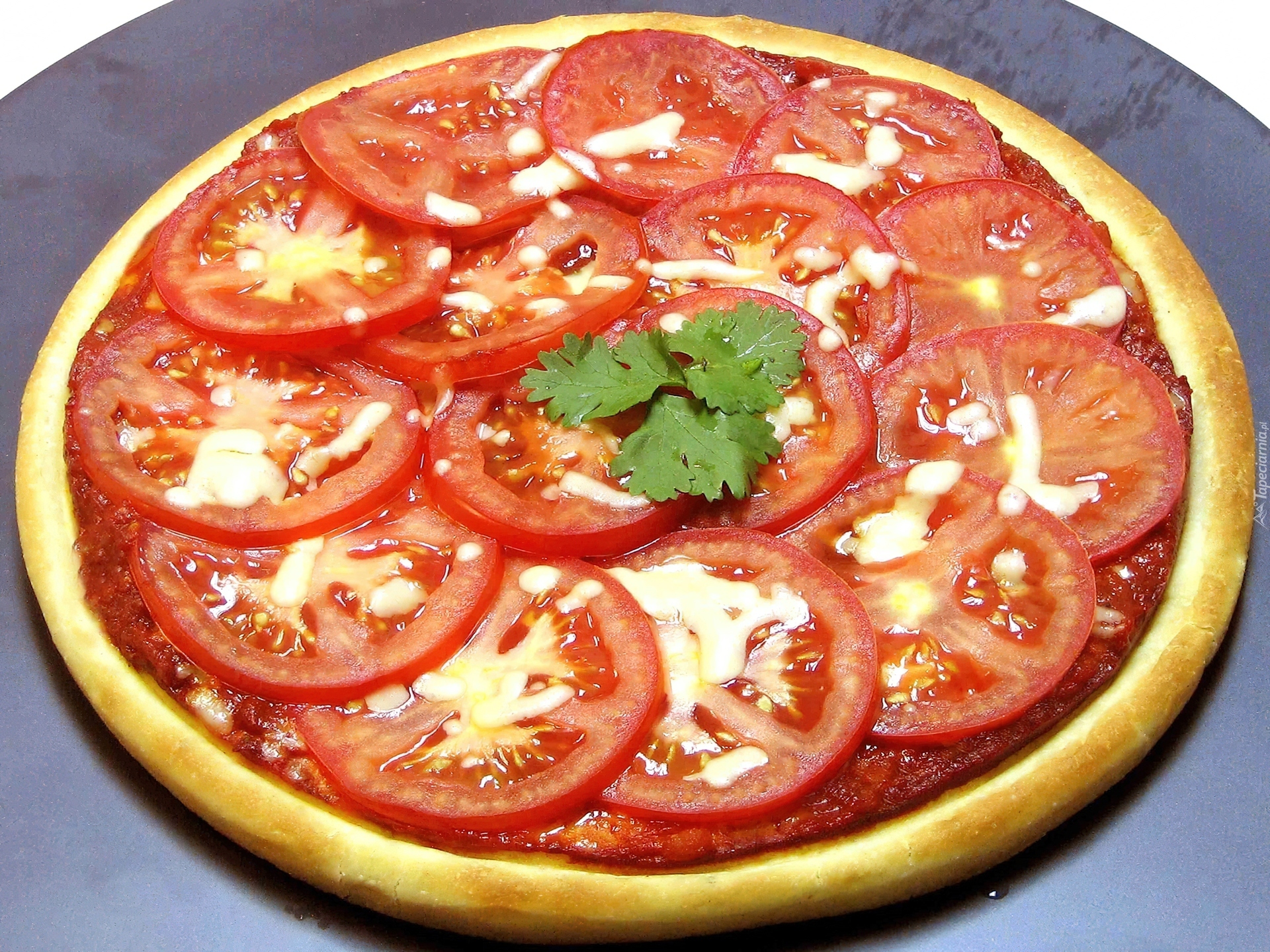 пицца из помидор в духовке фото 3
