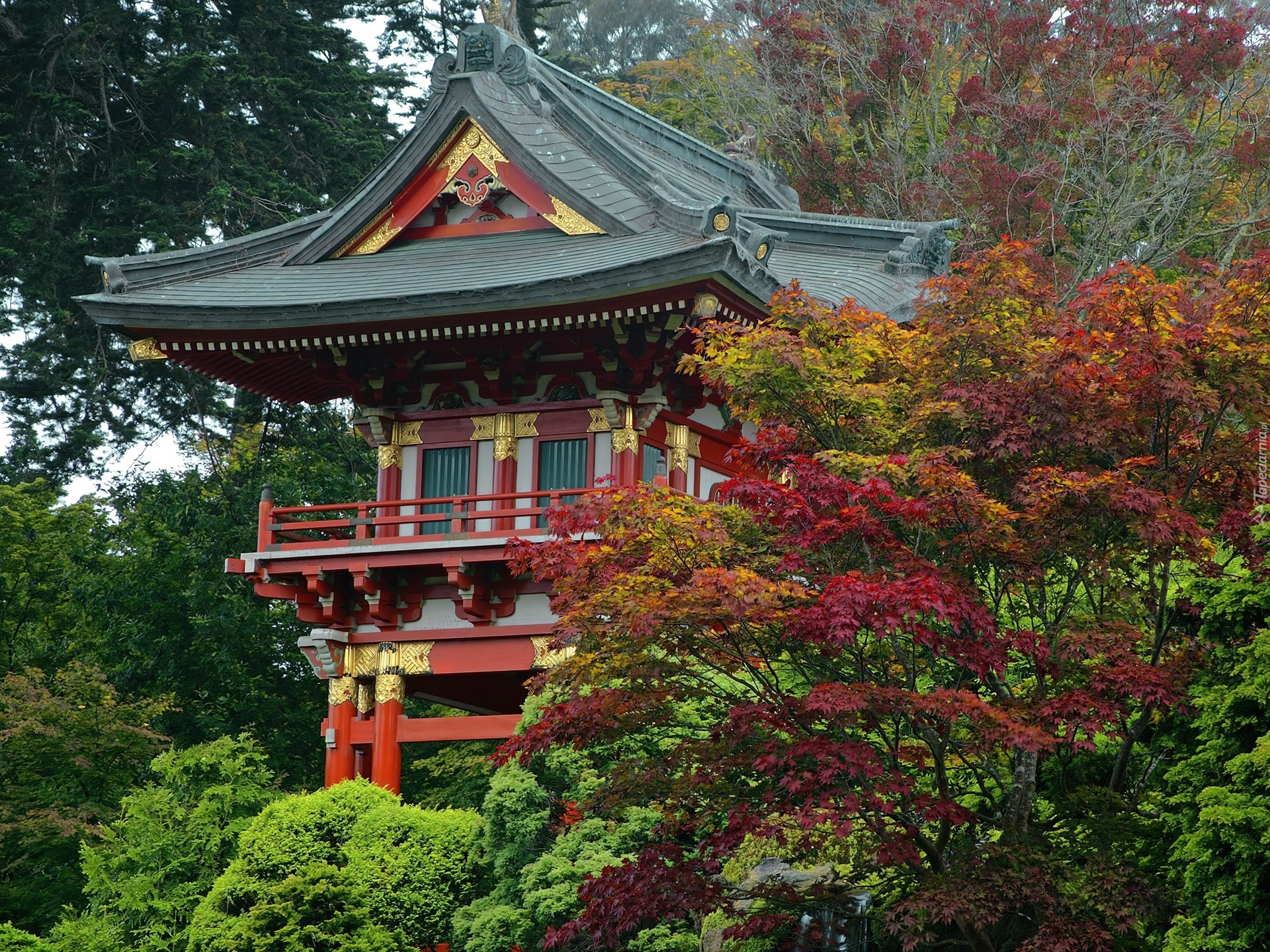 Какой китайский дом. Дом храм Япония. Чайных храм в Японии. Архитектура чайный домик Япония. Чайный дом в Китае.