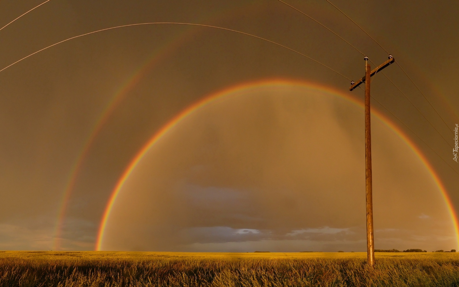 Pole, Słup, Tęcza