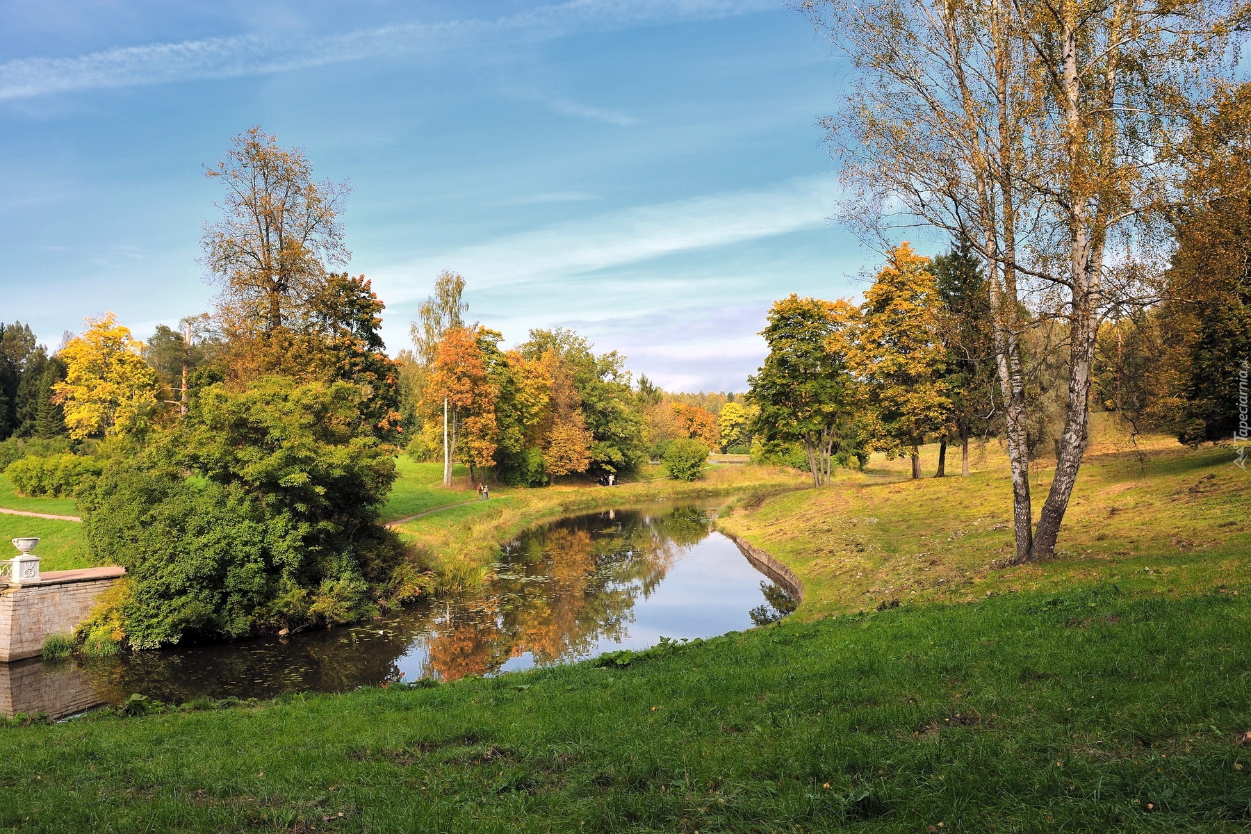 Park, Drzewa, Rzeczka, Alejka, Jesień