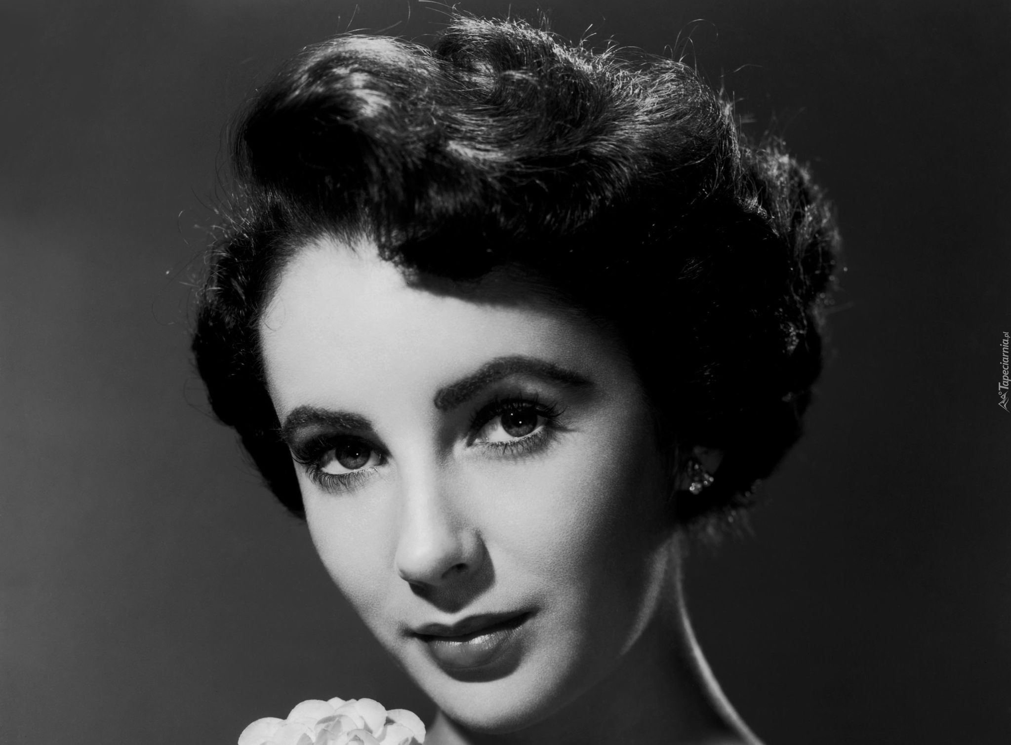 Elizabeth Taylor, Portret, Piękna, Aktorka