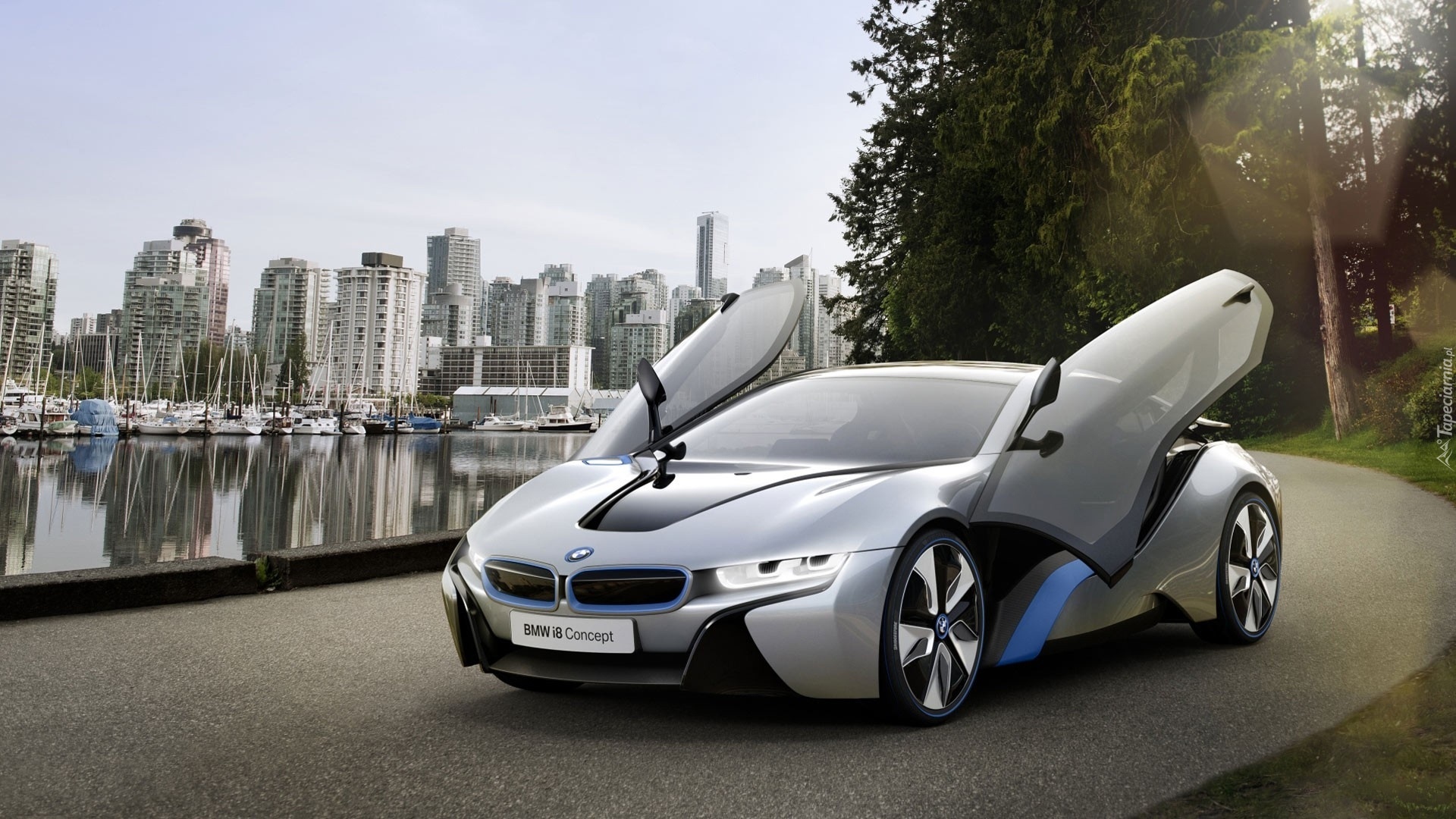 Prototyp, Bmw i8