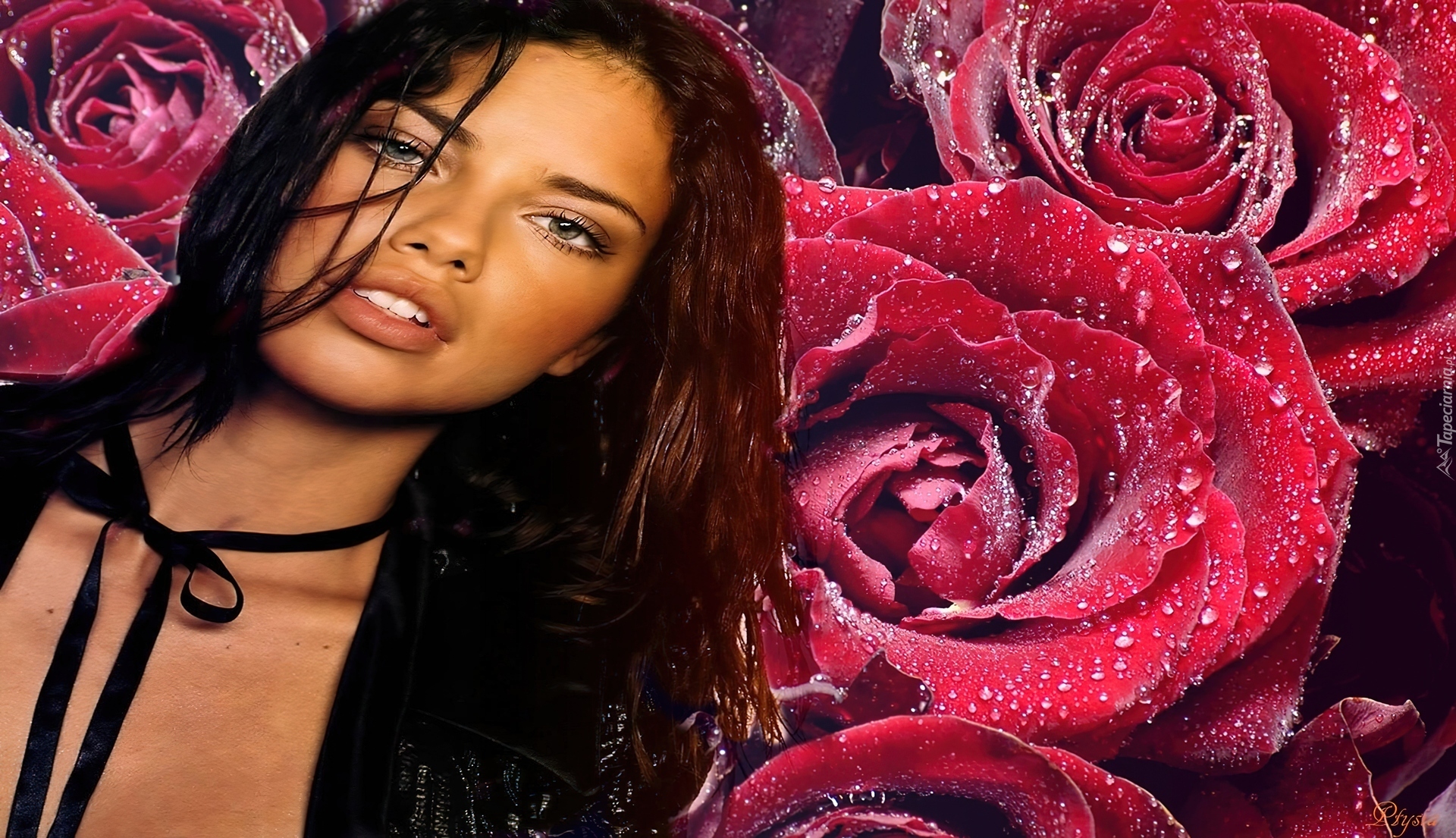 Adriana Lima, Czerwone, Róże, Krople, Wody